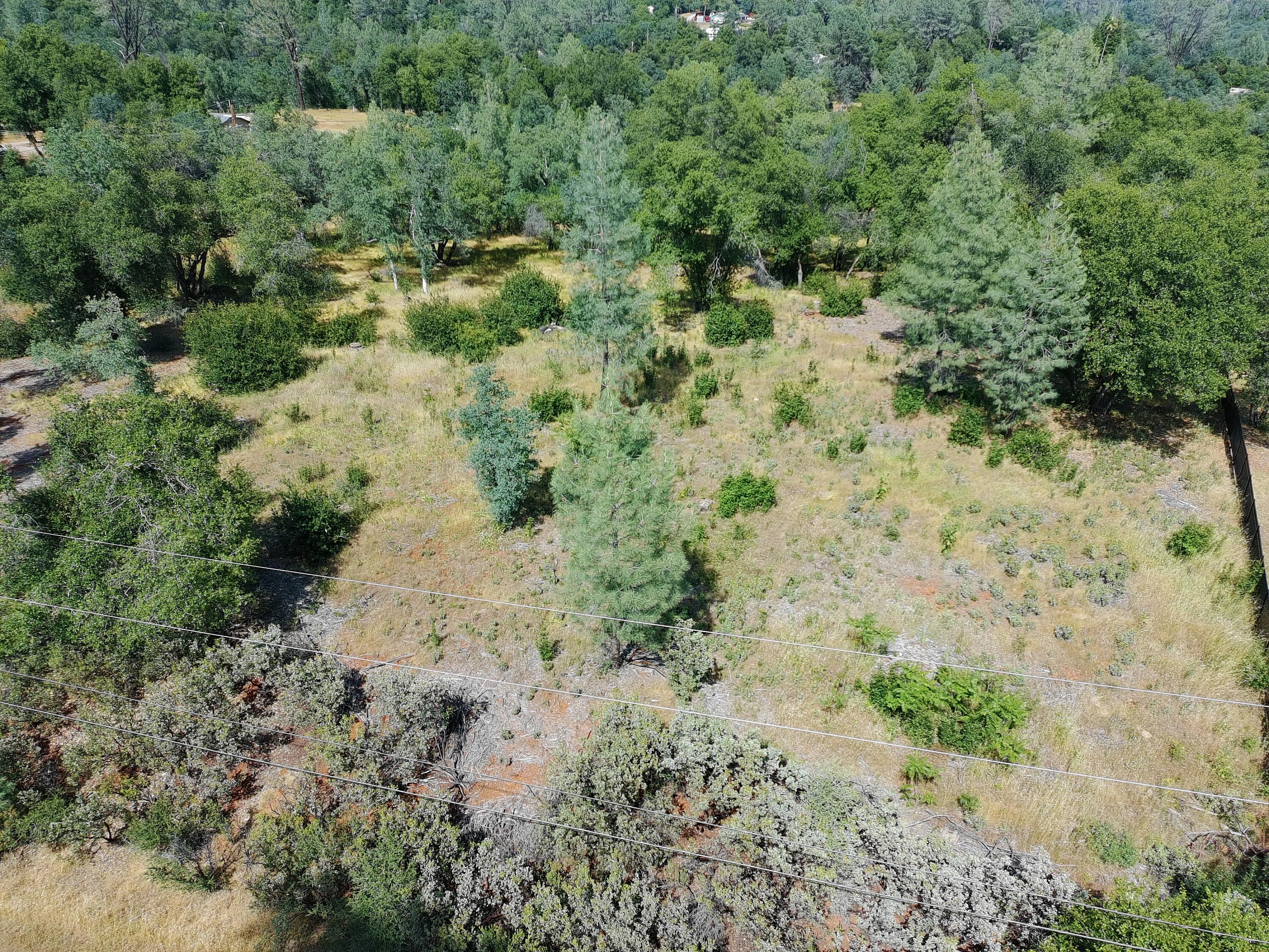 Tierra Oaks Drive