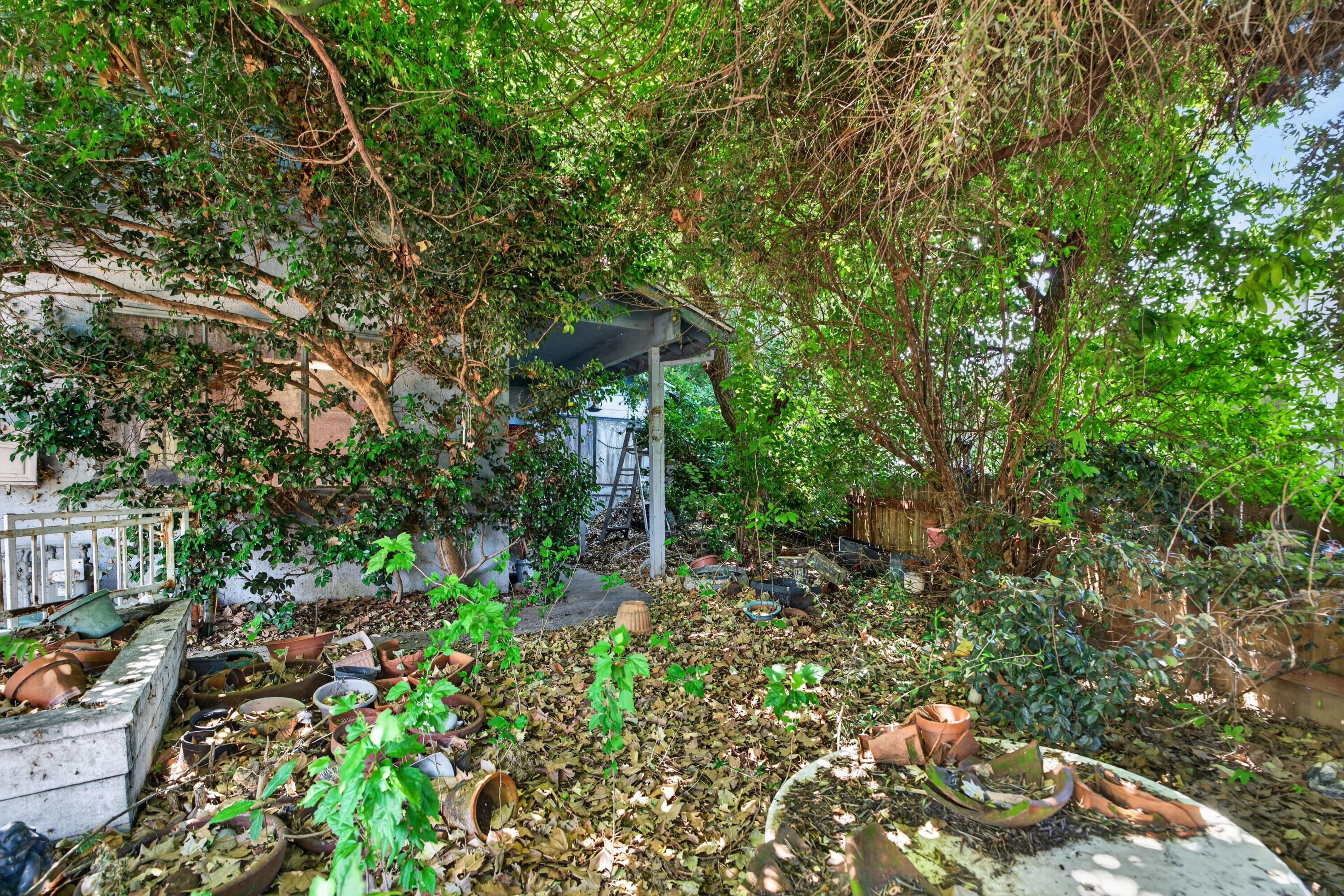2911 Roan Court