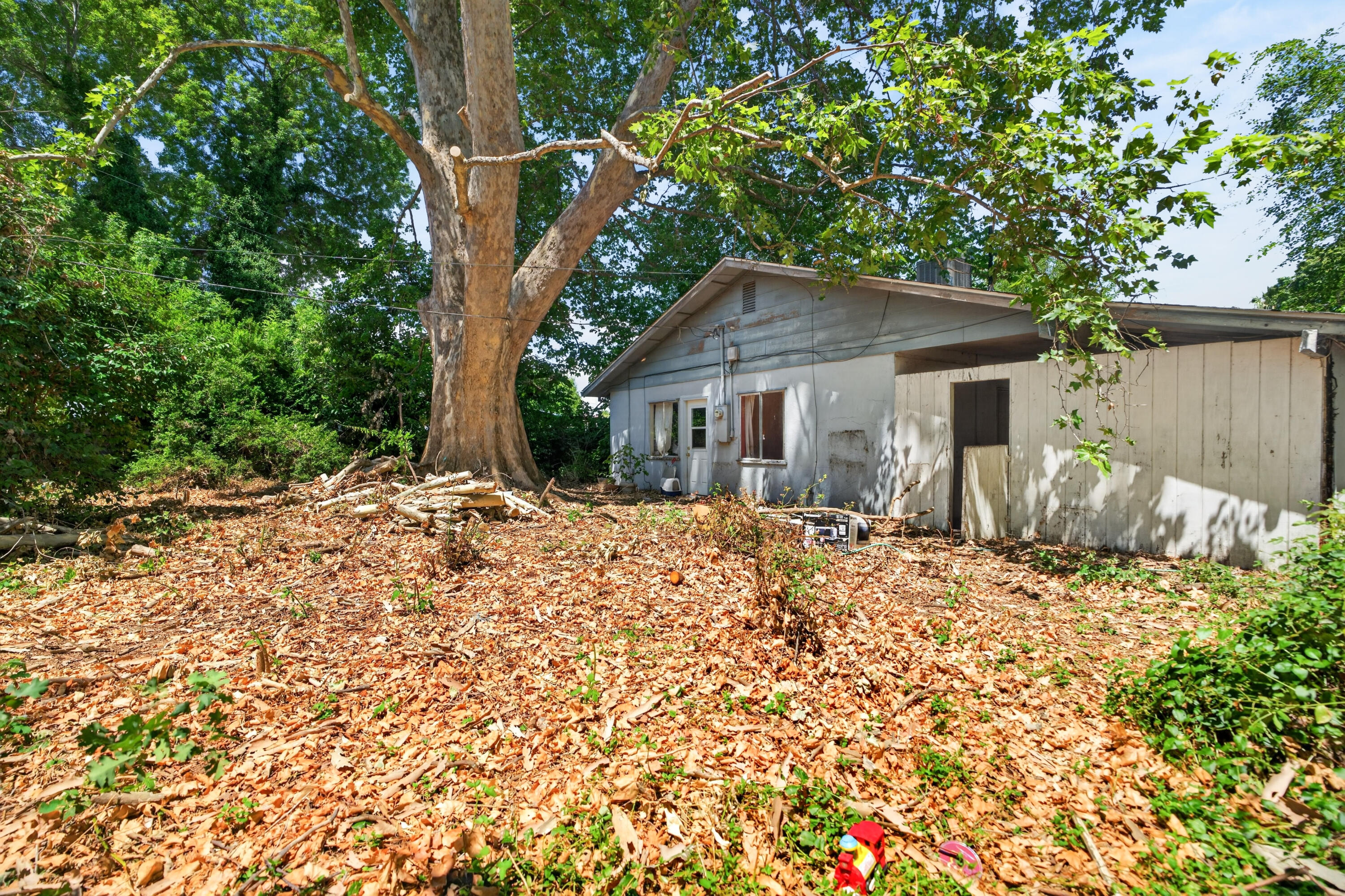 2911 Roan Court