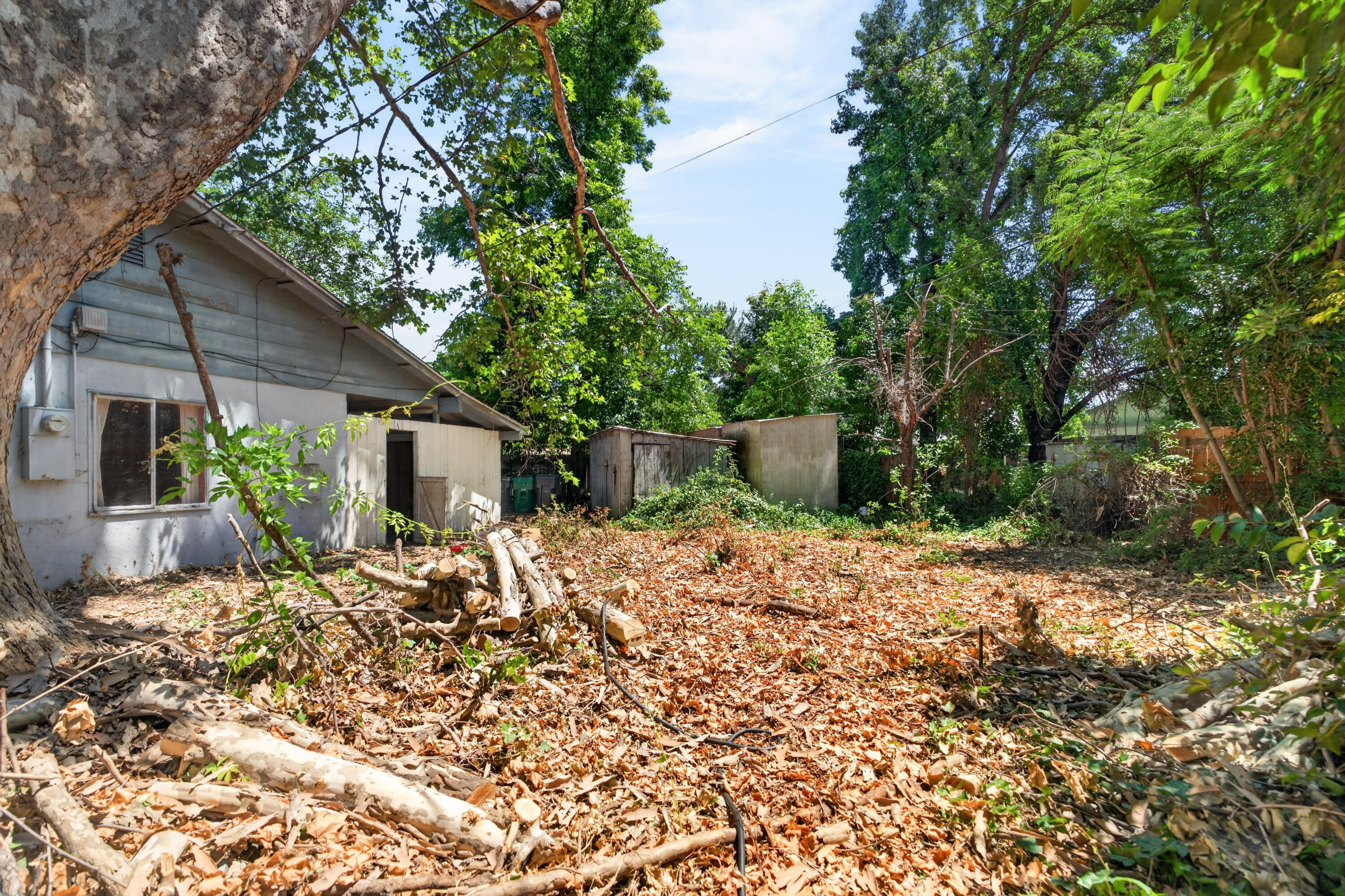 2911 Roan Court