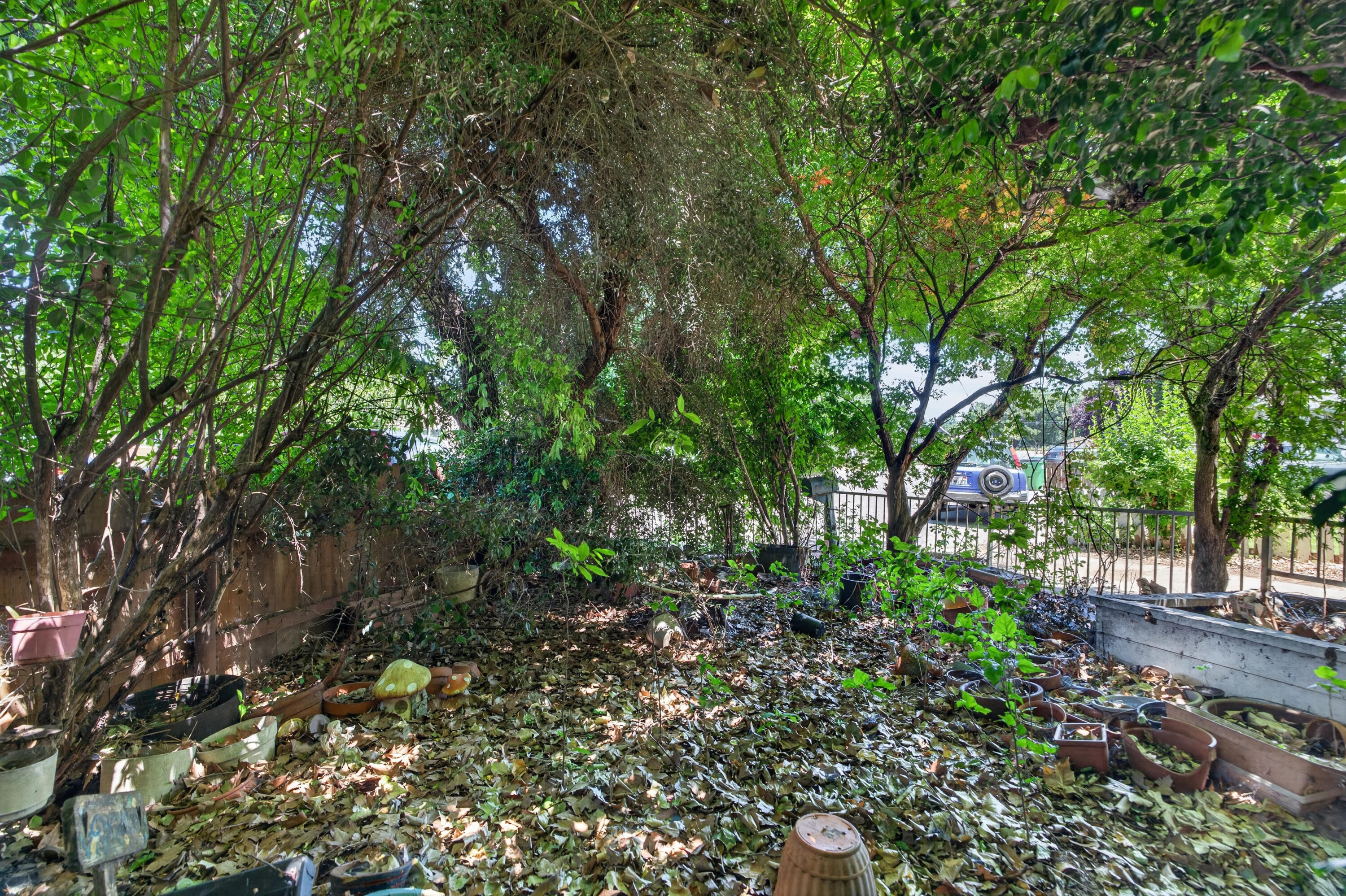 2911 Roan Court