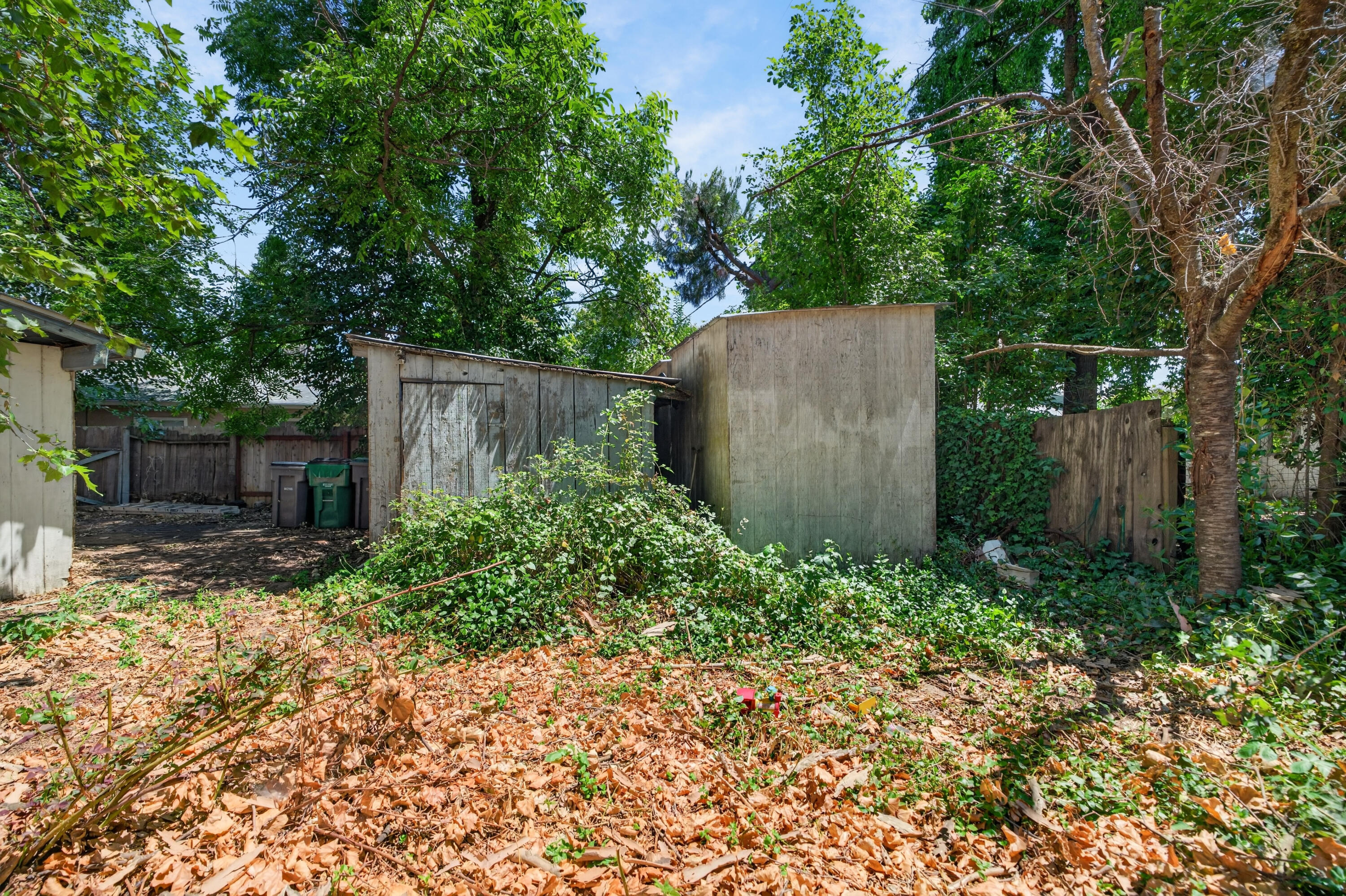 2911 Roan Court