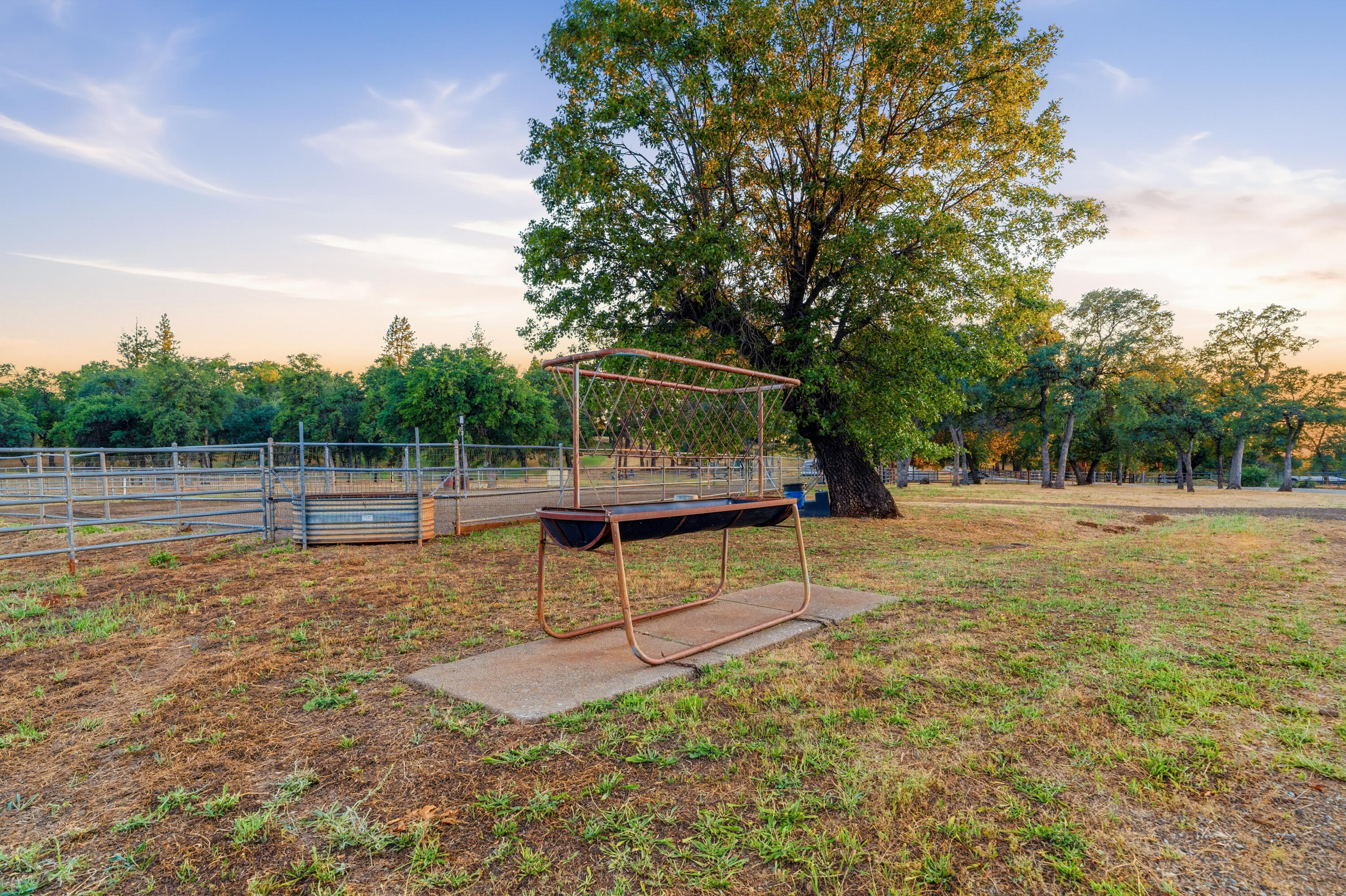 29099 Doveweed Way
