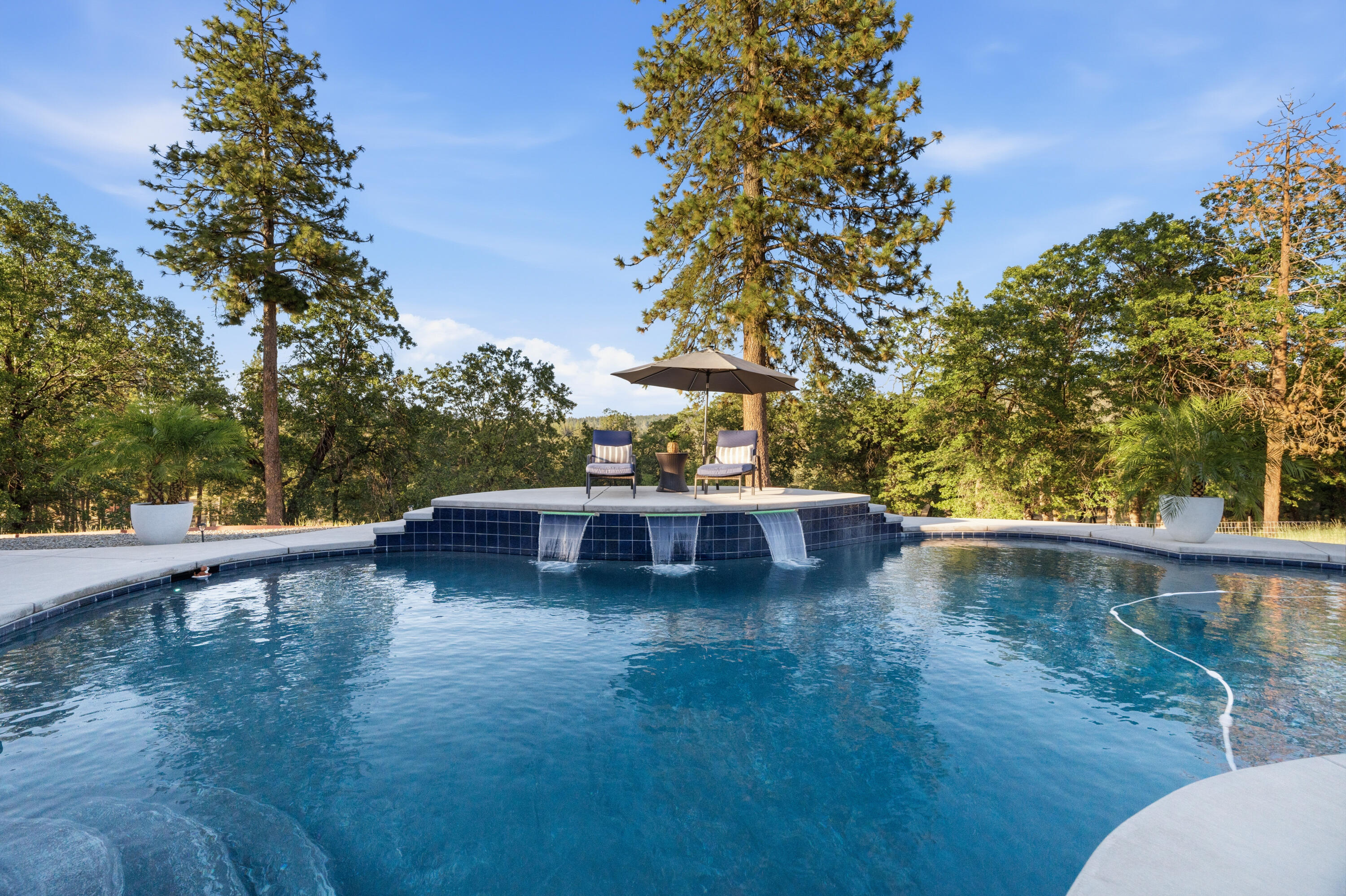 29099 Doveweed Way