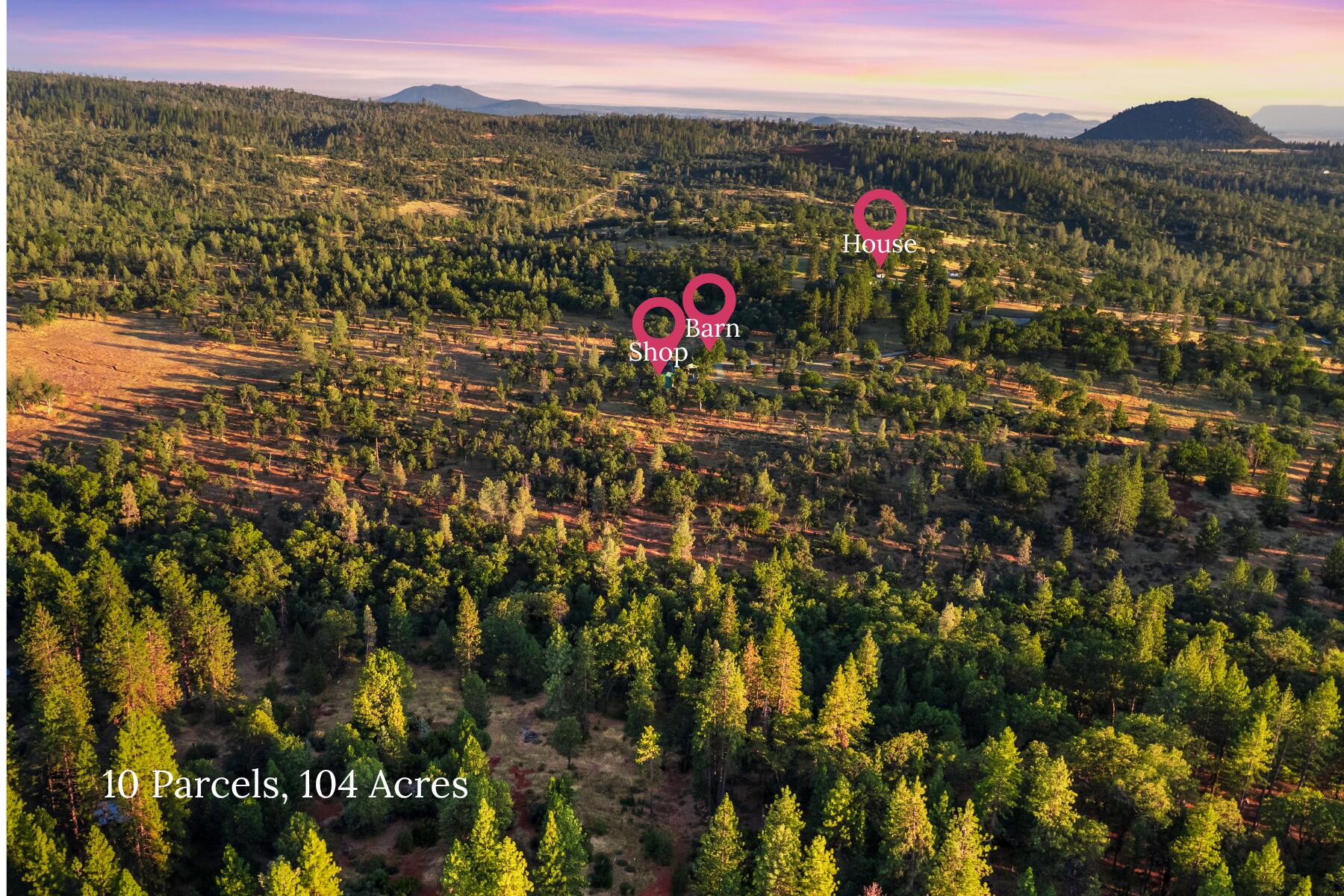 29099 Doveweed Way