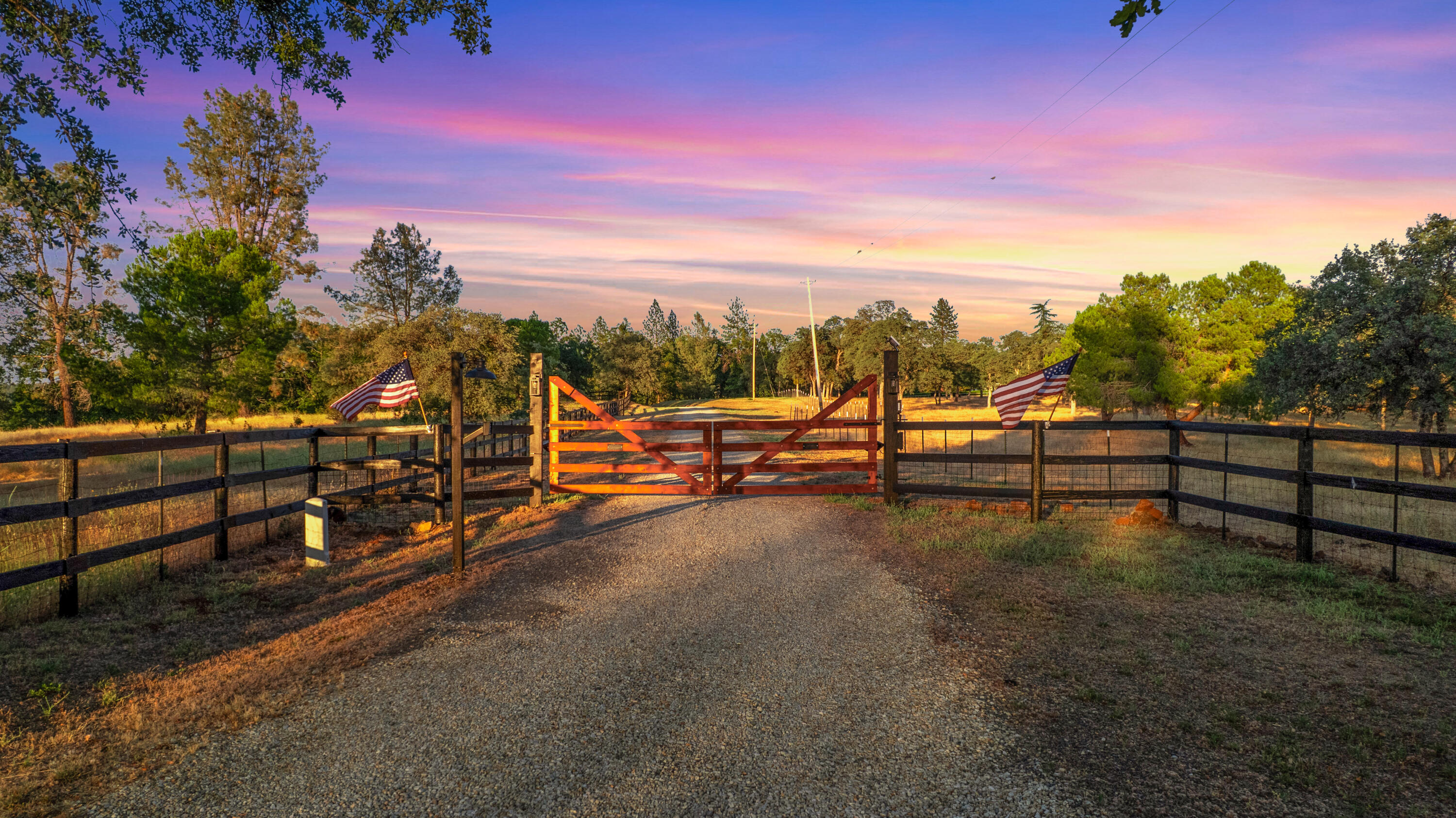 29099 Doveweed Way