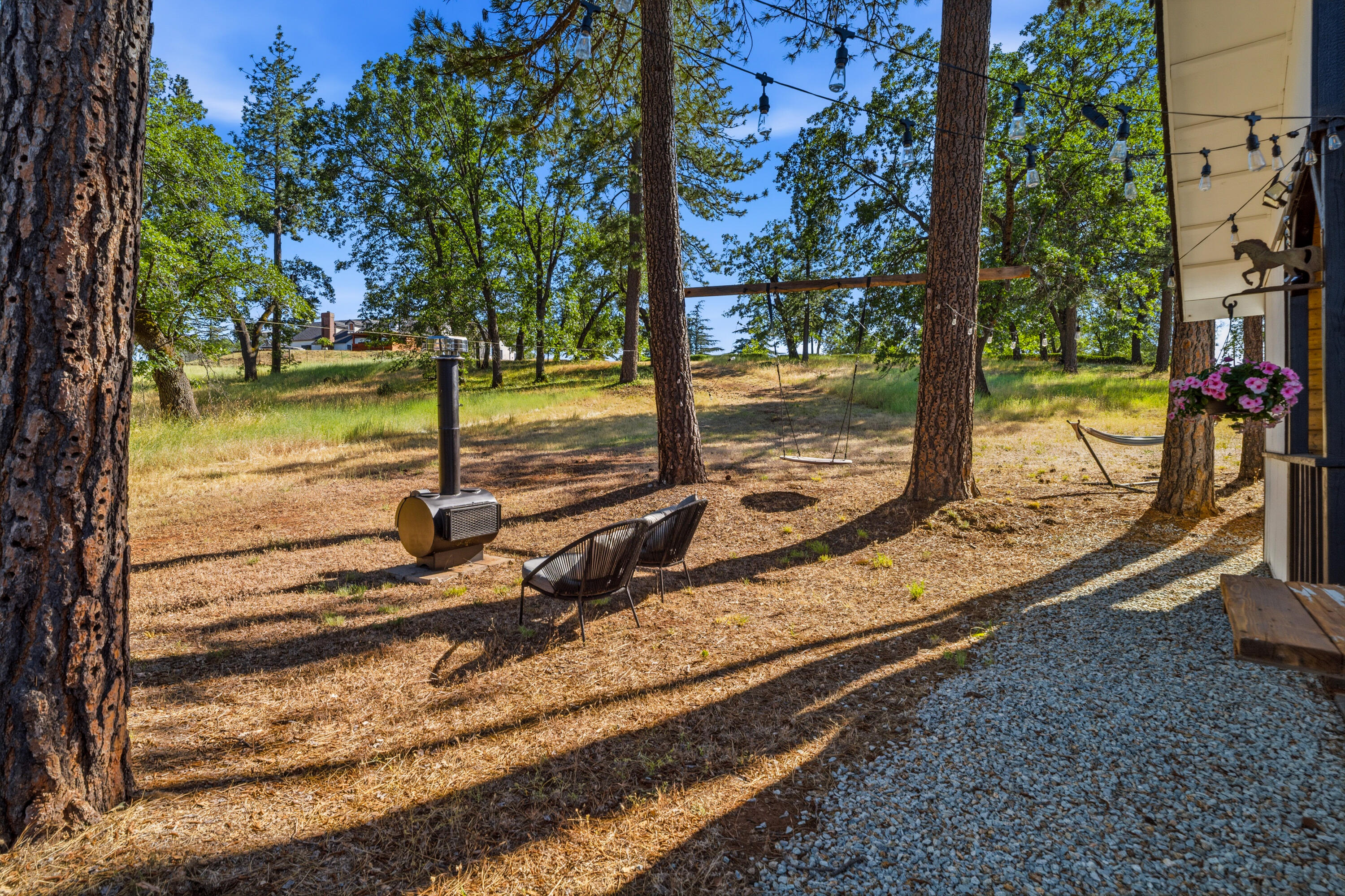 29099 Doveweed Way