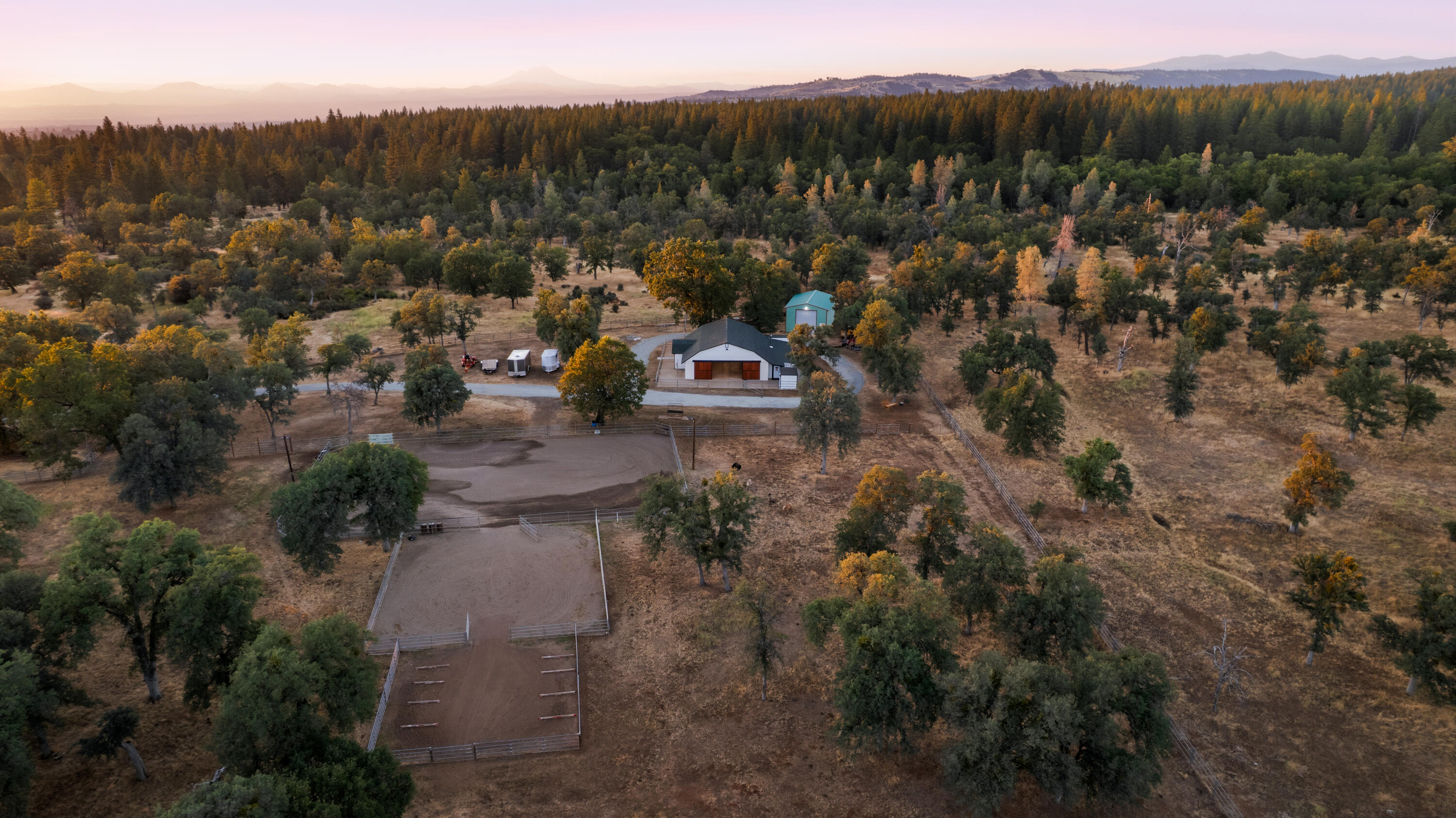 29099 Doveweed Way
