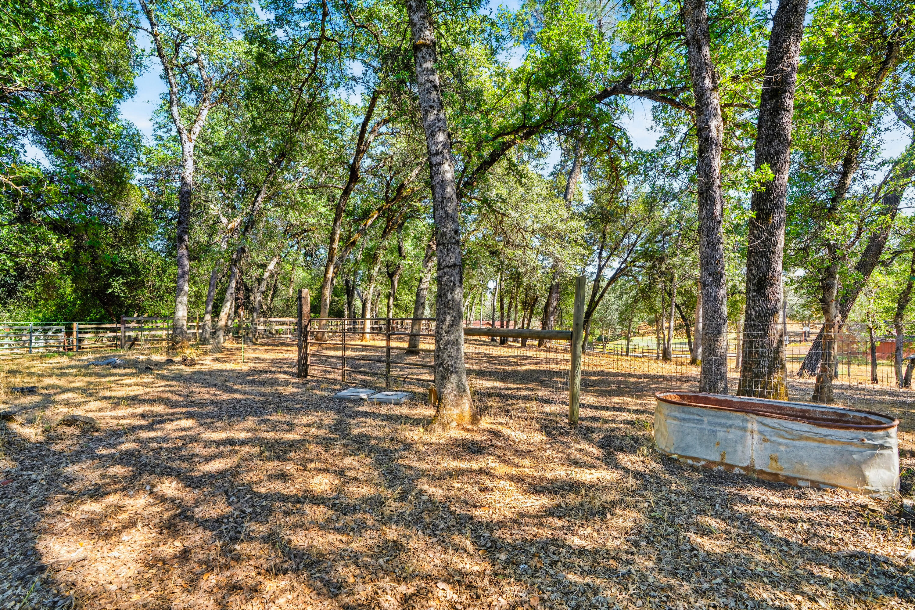 20019 Vernita Drive