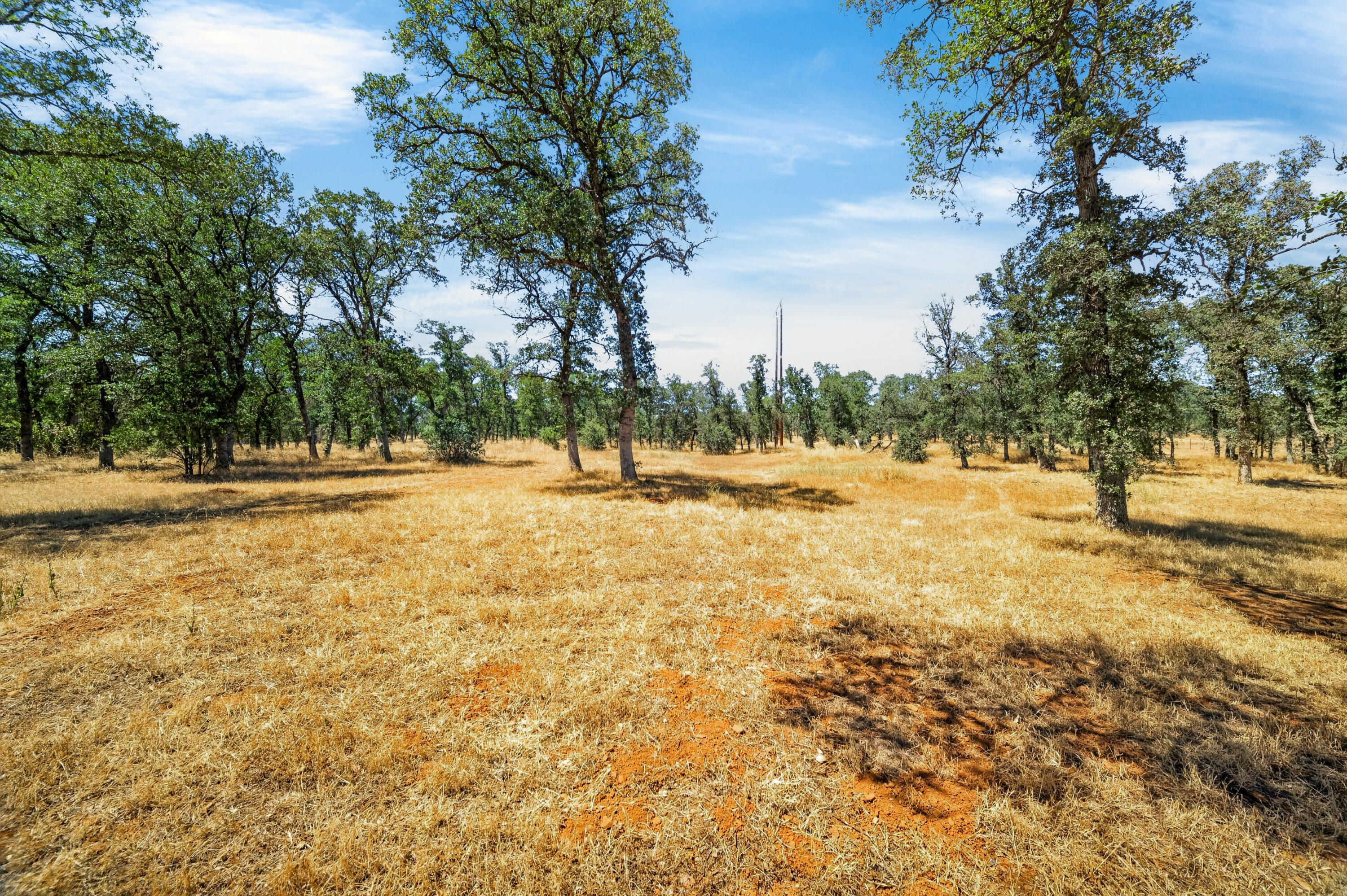 19720 Gas Point Road