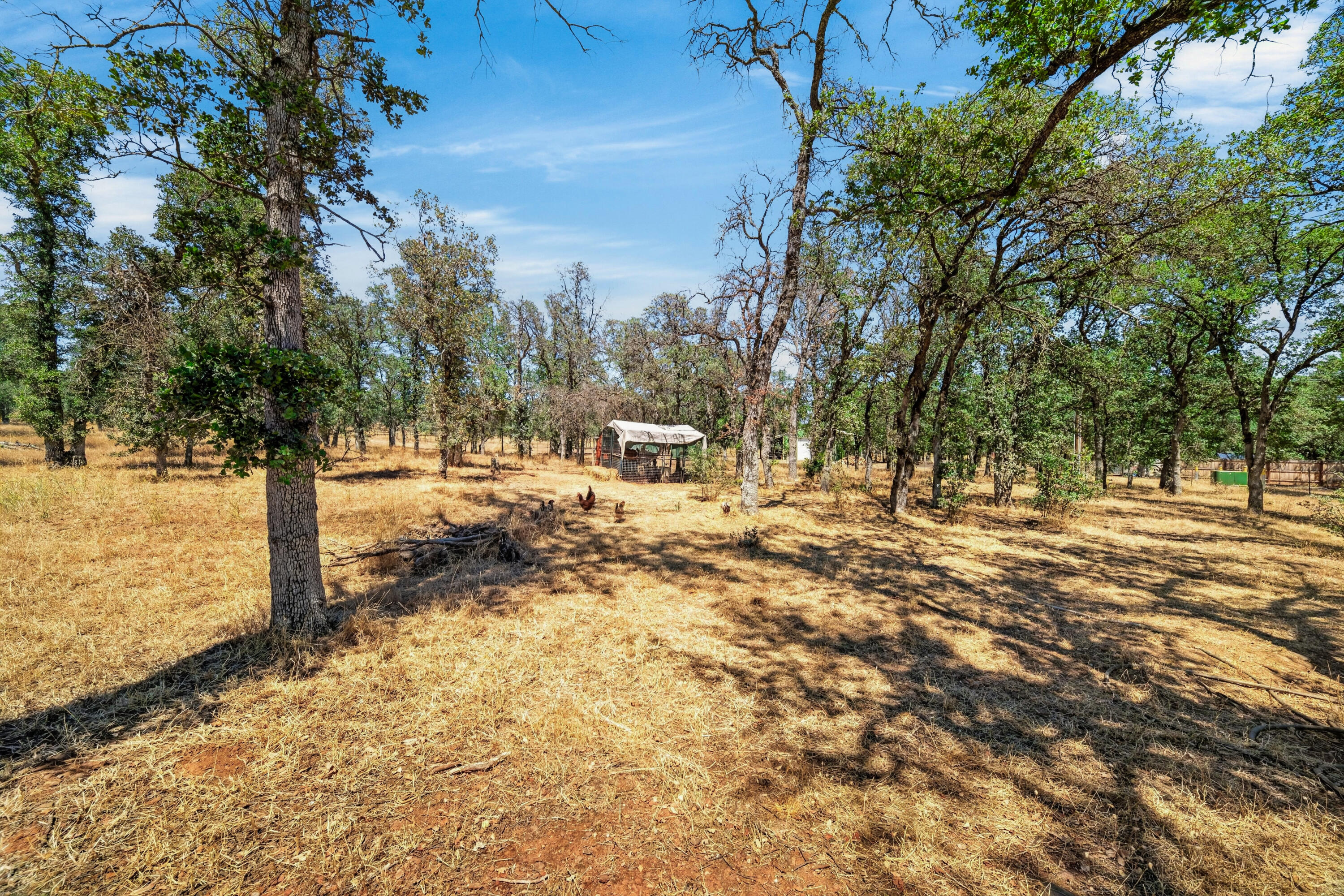 19720 Gas Point Road