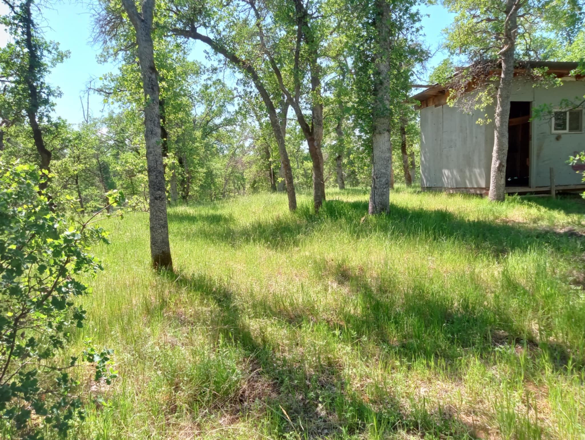 10 Acres Two Feathers Road