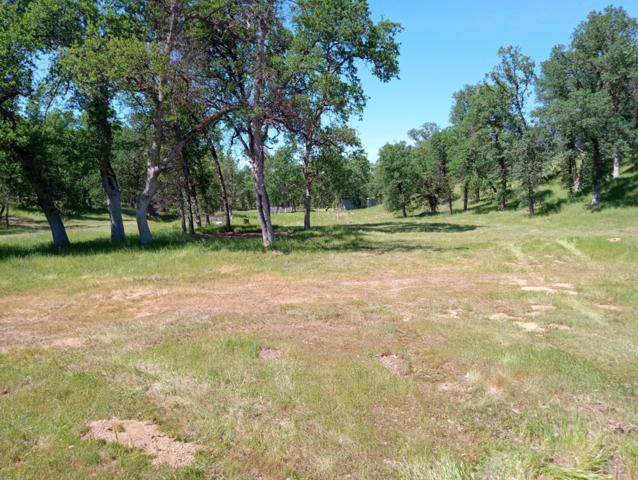 10 Acres Two Feathers Road