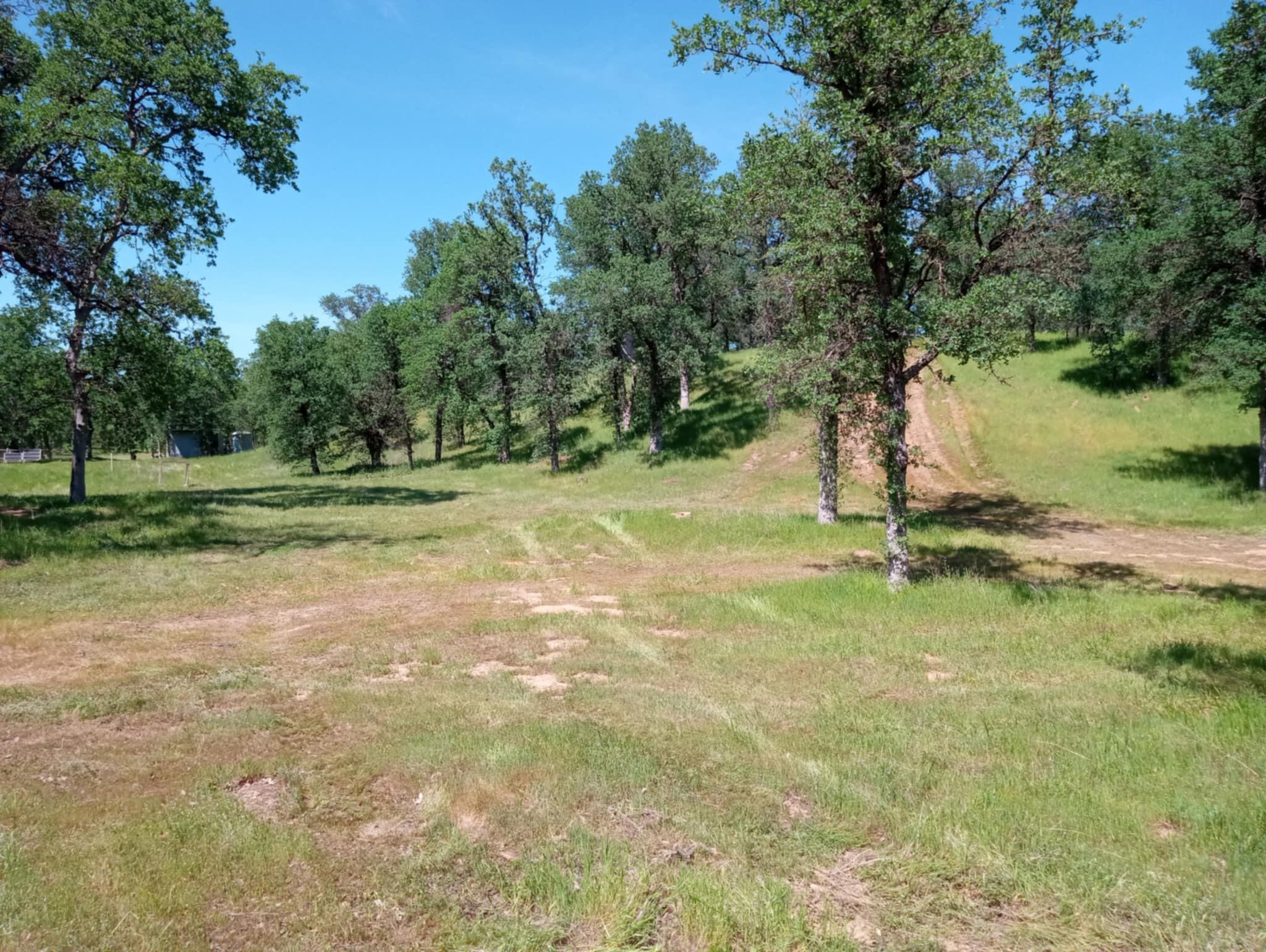 10 Acres Two Feathers Road