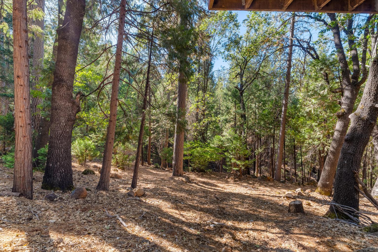 30570 Sleepy Hollow Drive