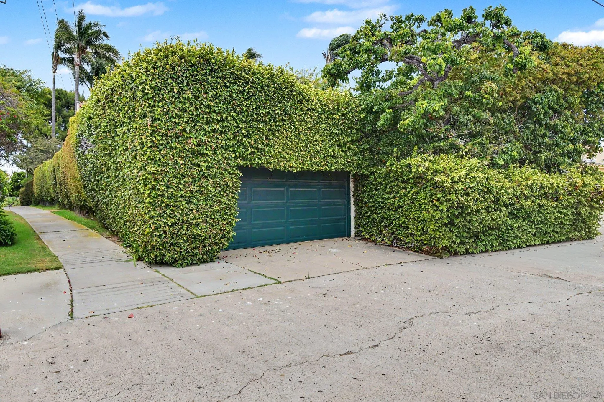 3619 Lotus Drive