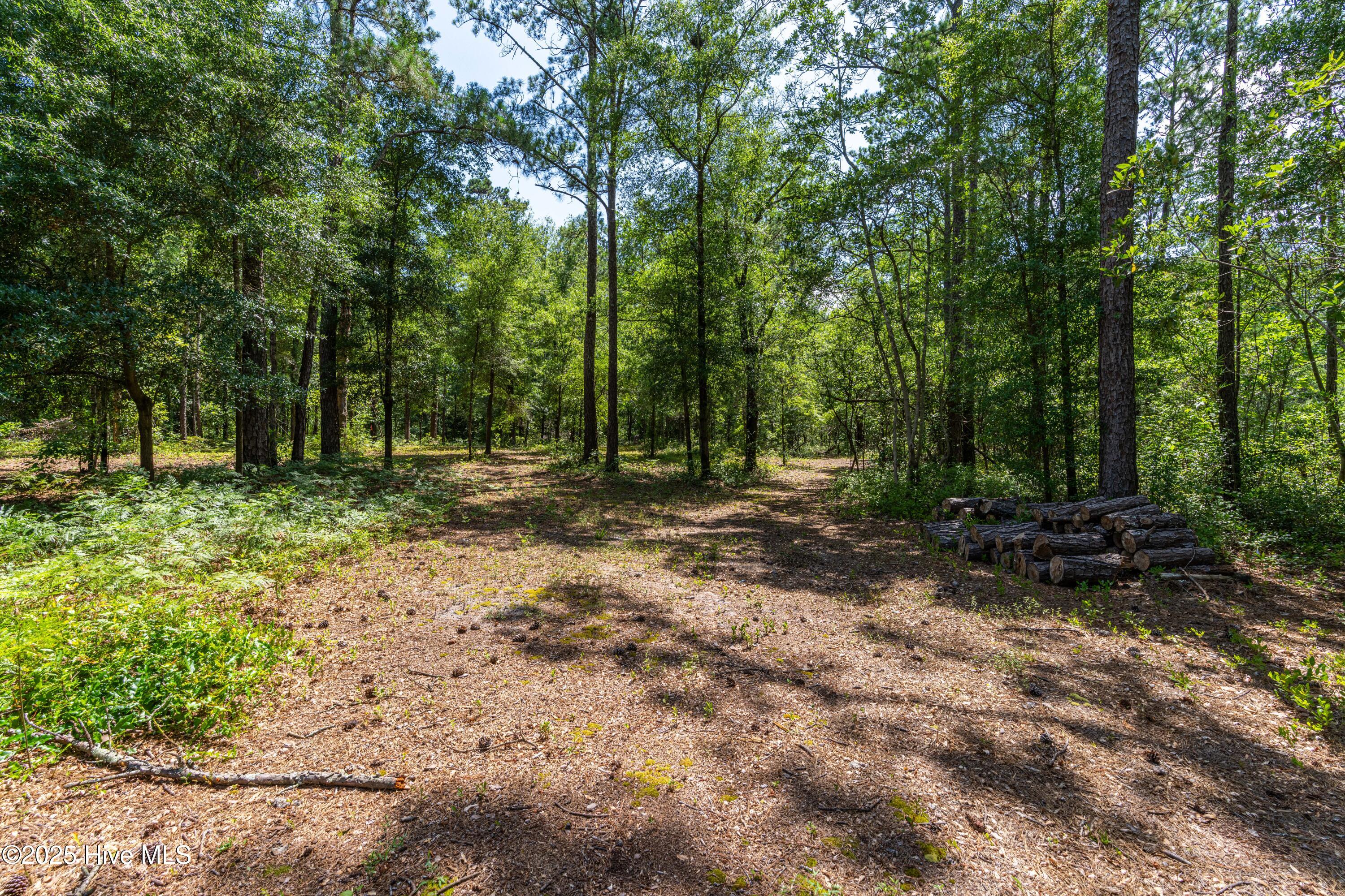 561 Meeks Creek Drive