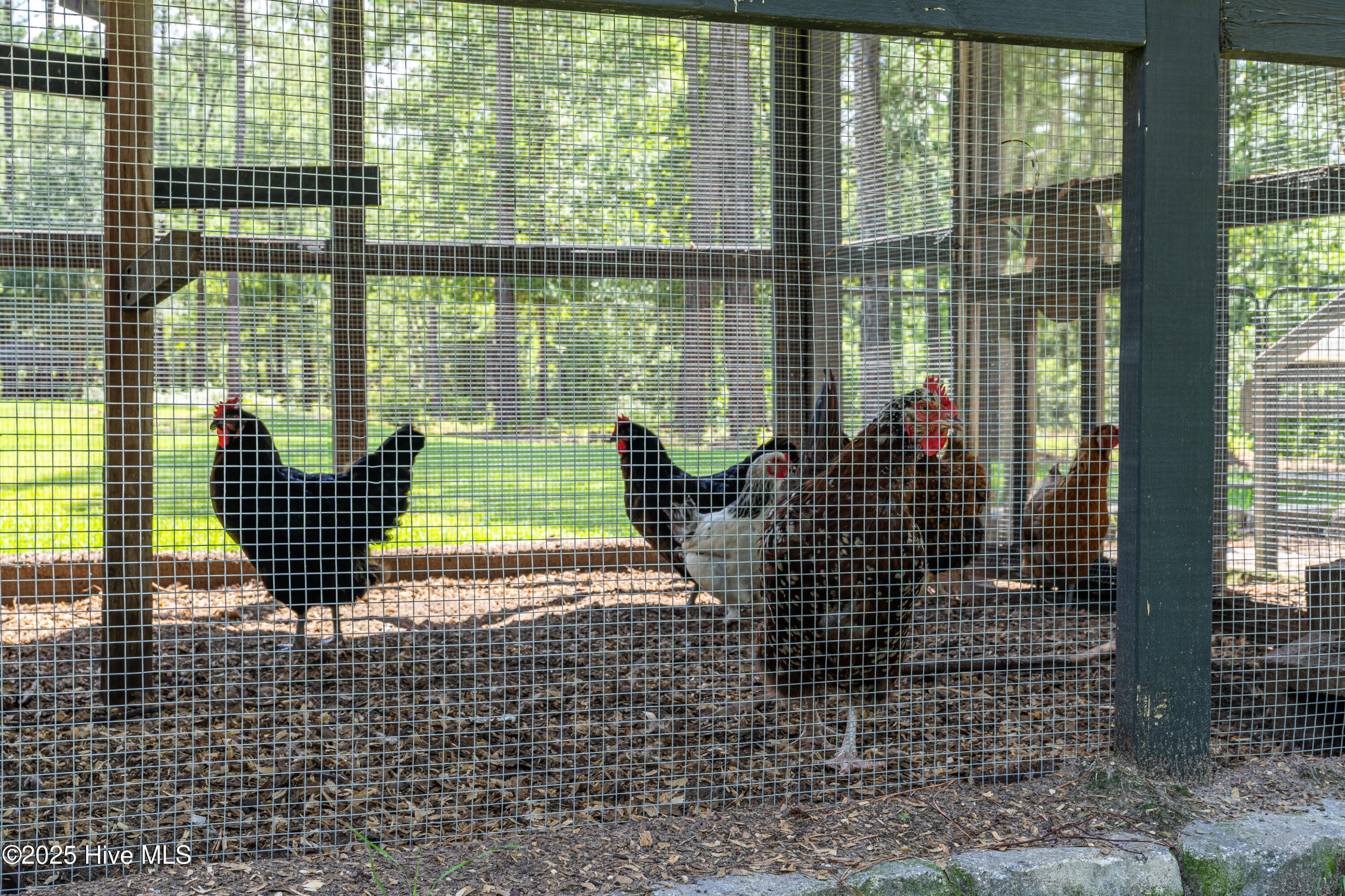 561 Meeks Creek Drive