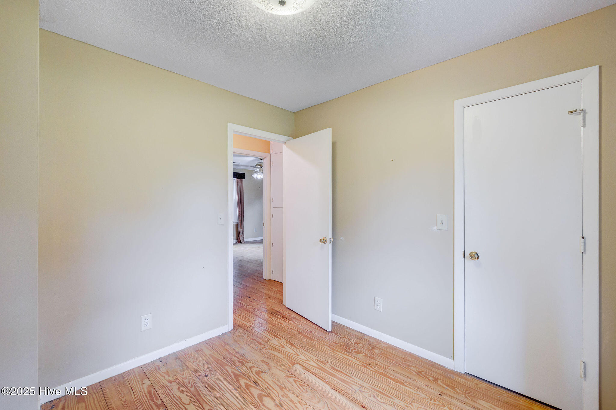 163 Horne Place Drive