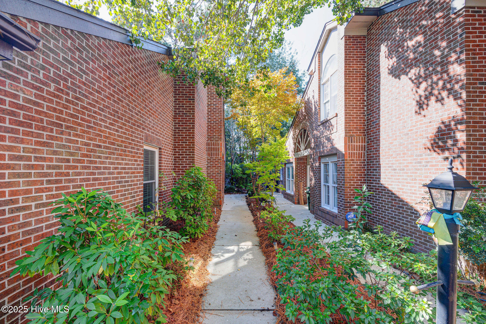 2018 Jumpin Run Drive