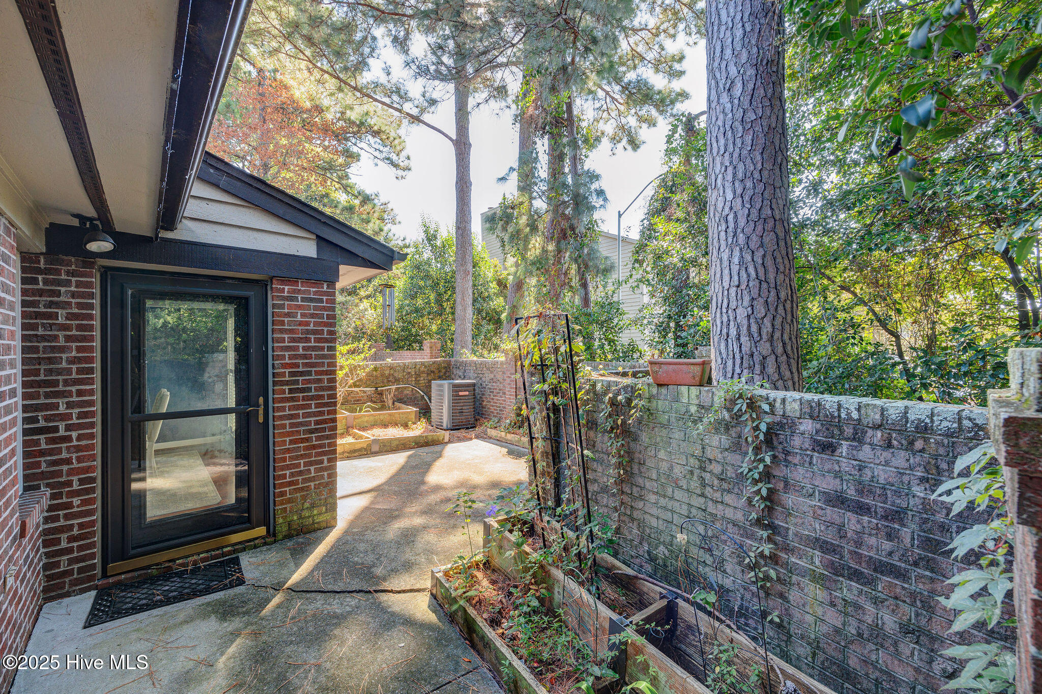 2018 Jumpin Run Drive