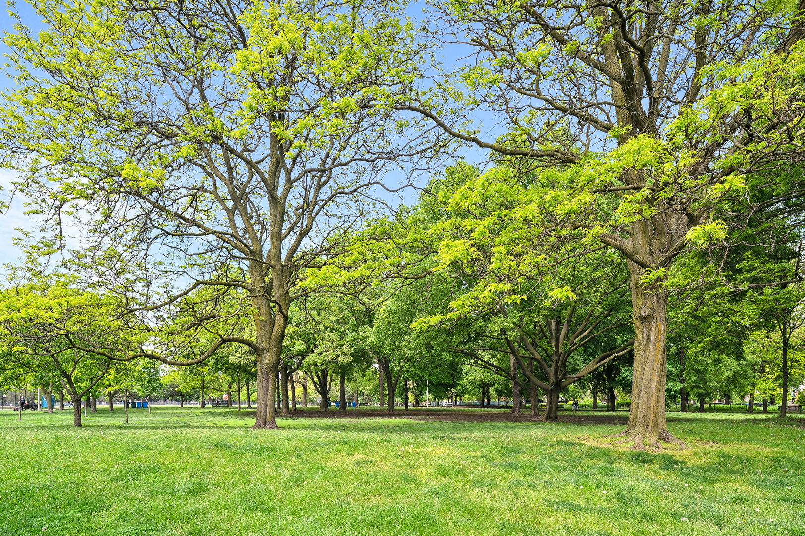 714 W WEBSTER Avenue Unit: 3E