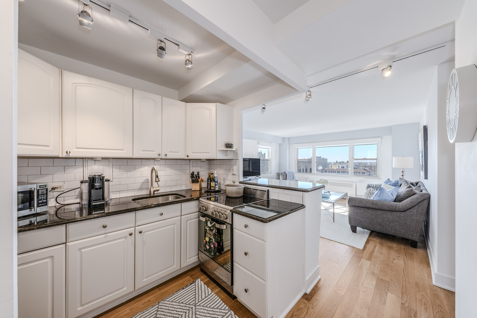 2909 N Sheridan Road Unit: 1511