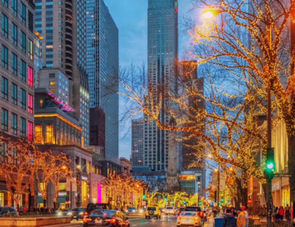 1000 N LAKE SHORE Plaza Unit: 39C