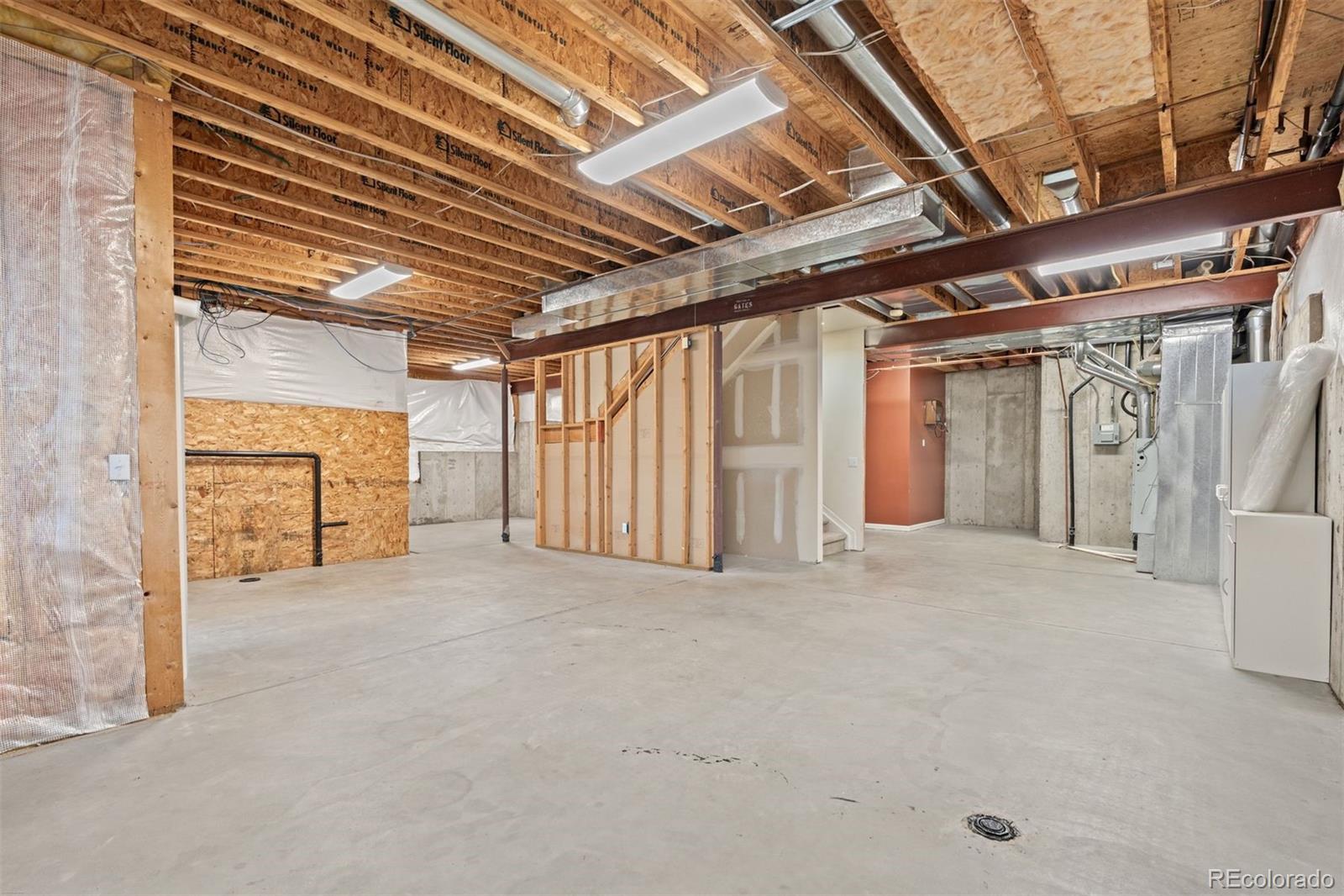 3396 White Bark Pine