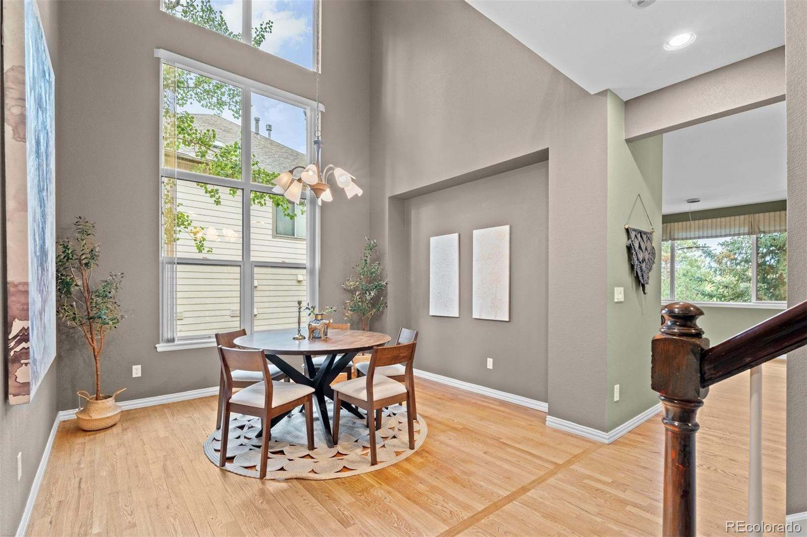 3396 White Bark Pine