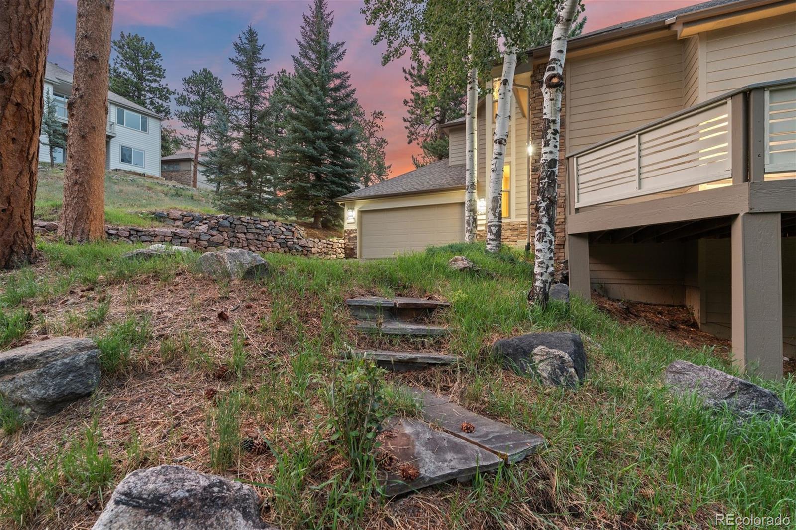 3396 White Bark Pine
