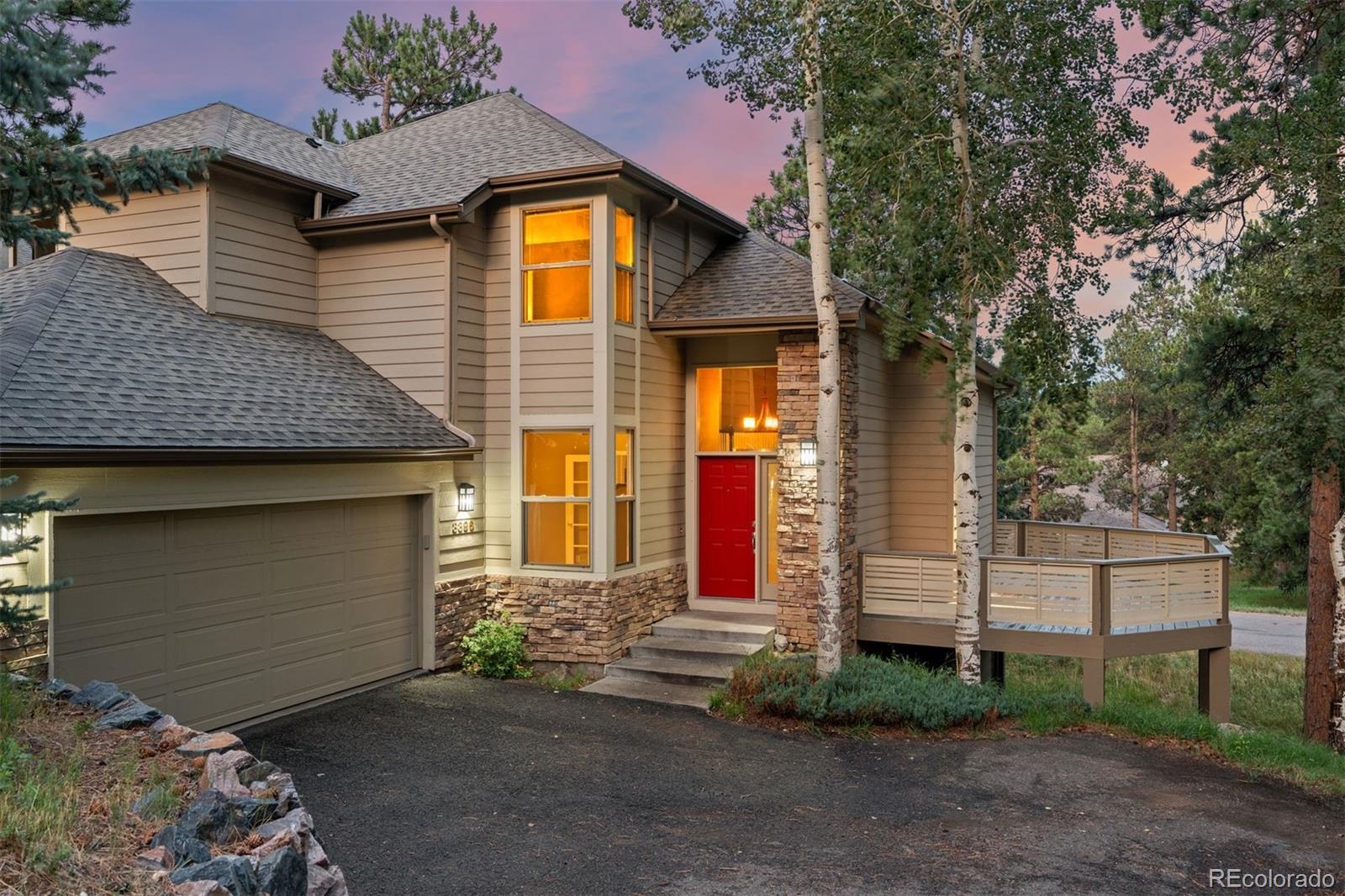 3396 White Bark Pine