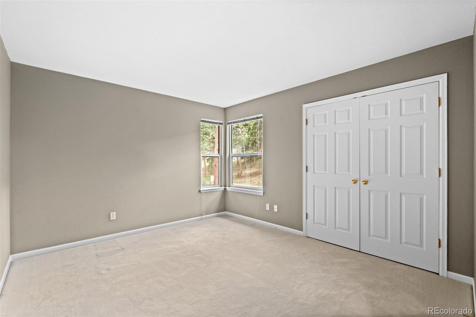 3396 White Bark Pine