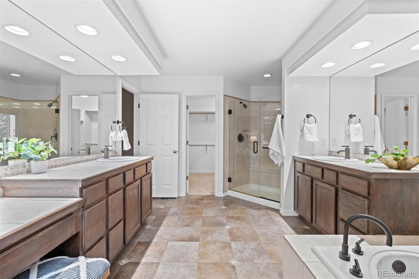 3396 White Bark Pine