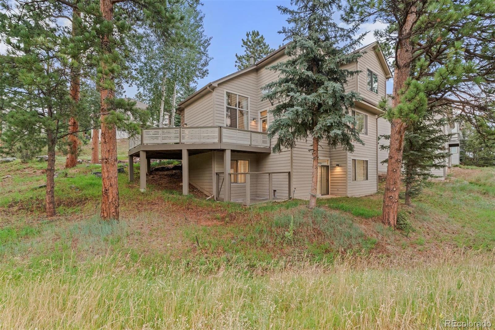 3396 White Bark Pine