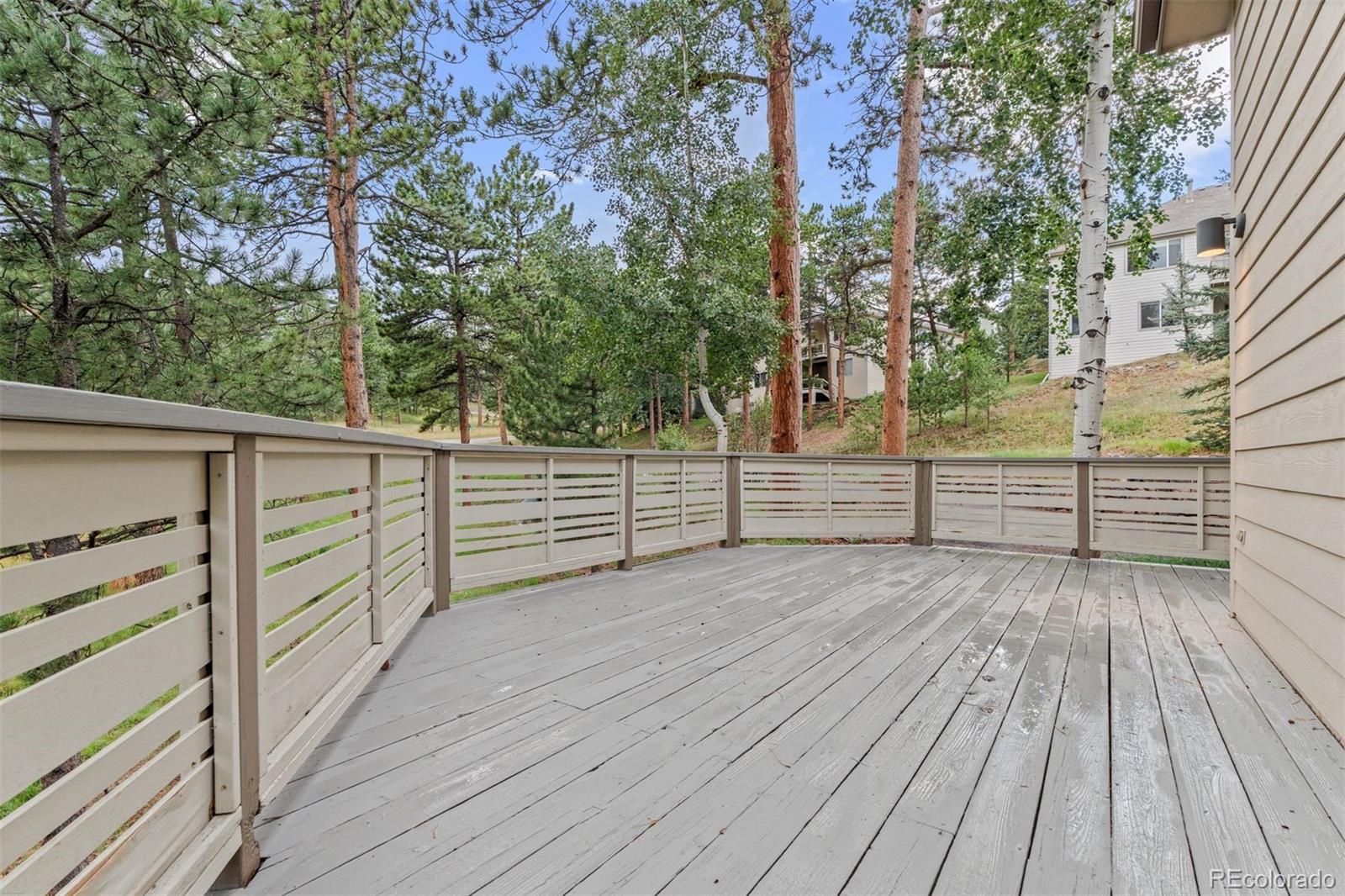 3396 White Bark Pine