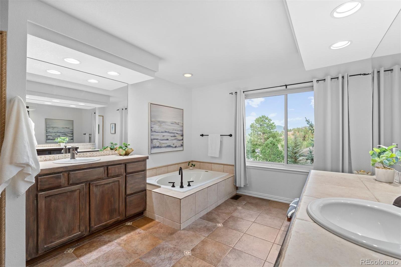 3396 White Bark Pine