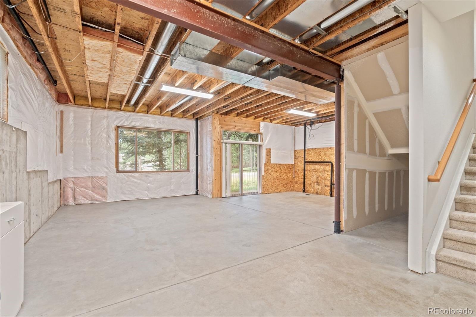 3396 White Bark Pine