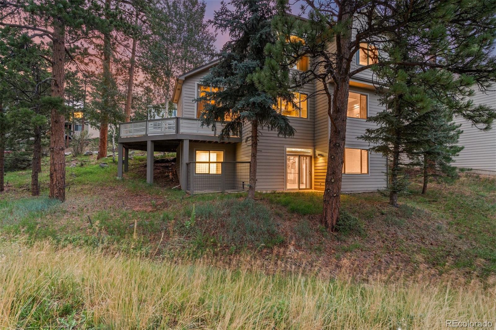 3396 White Bark Pine