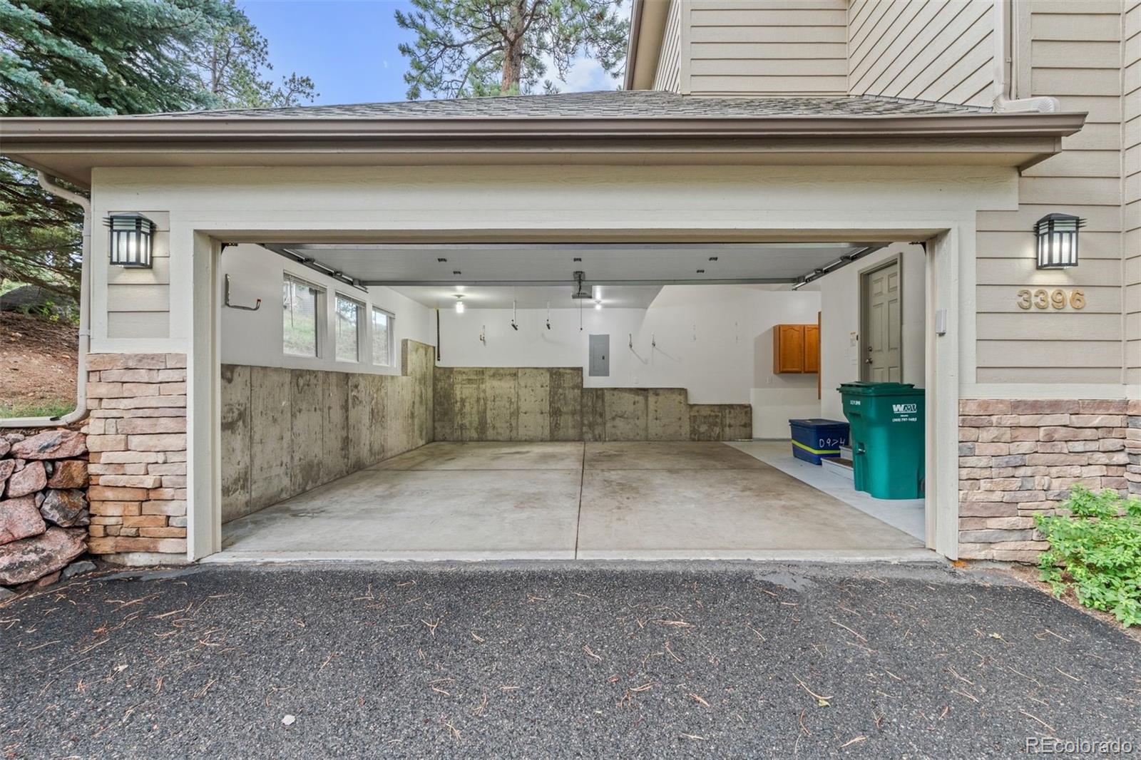 3396 White Bark Pine