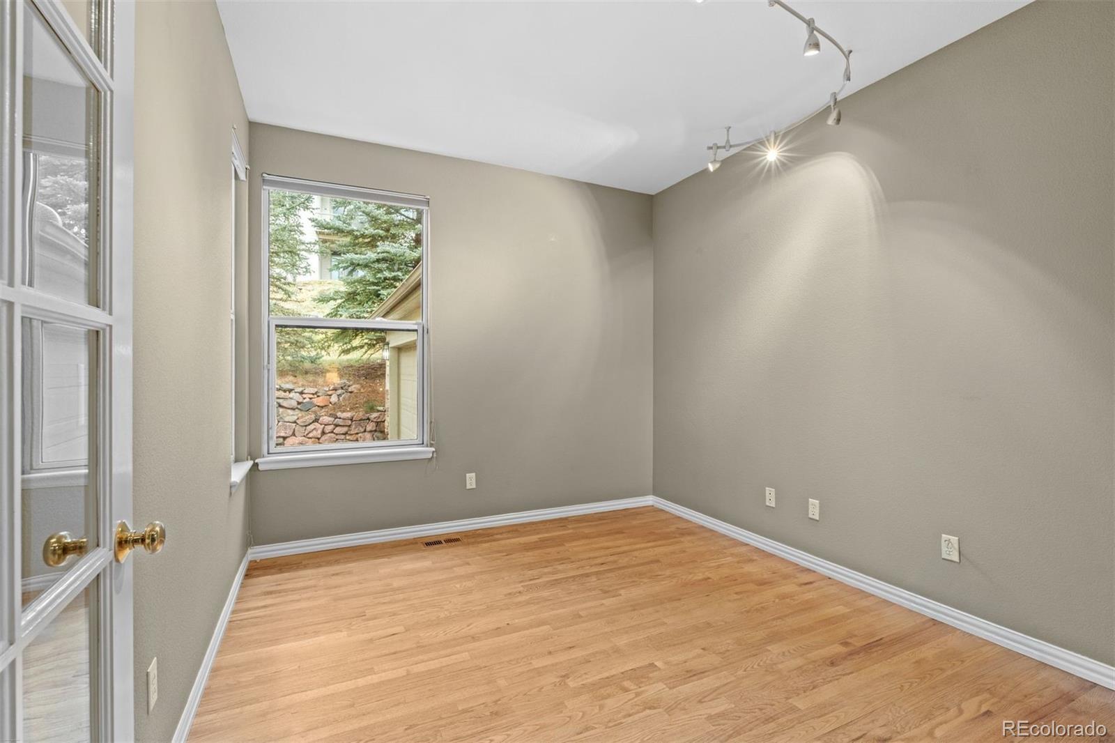 3396 White Bark Pine