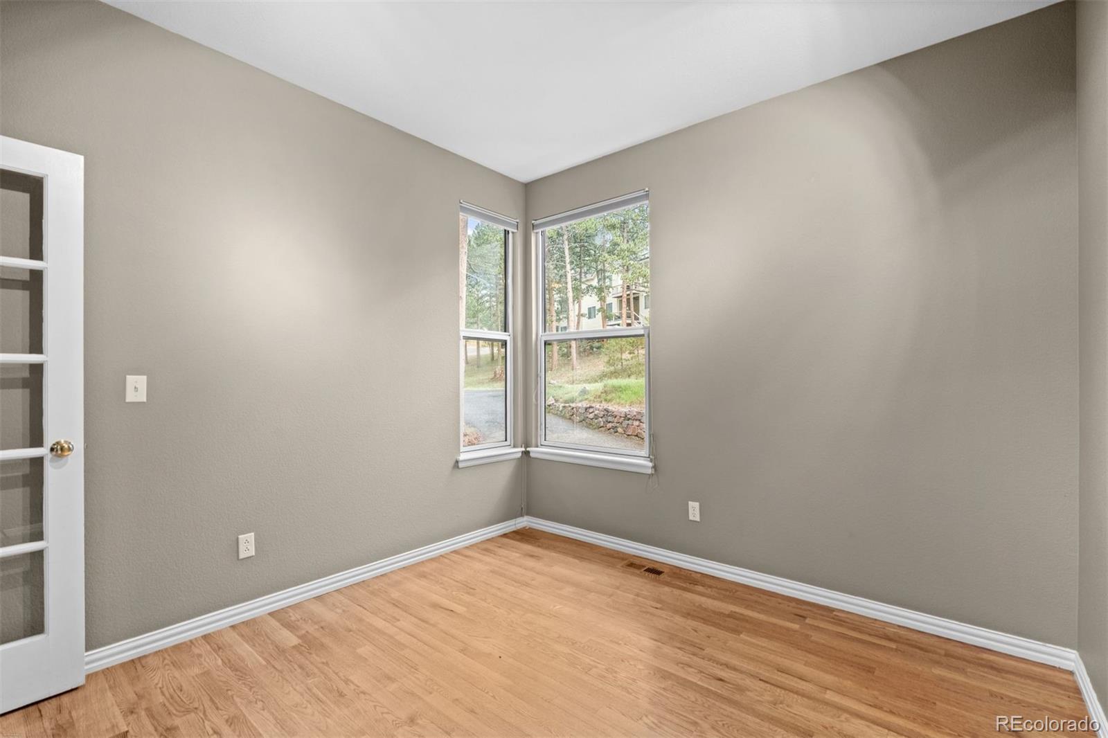 3396 White Bark Pine