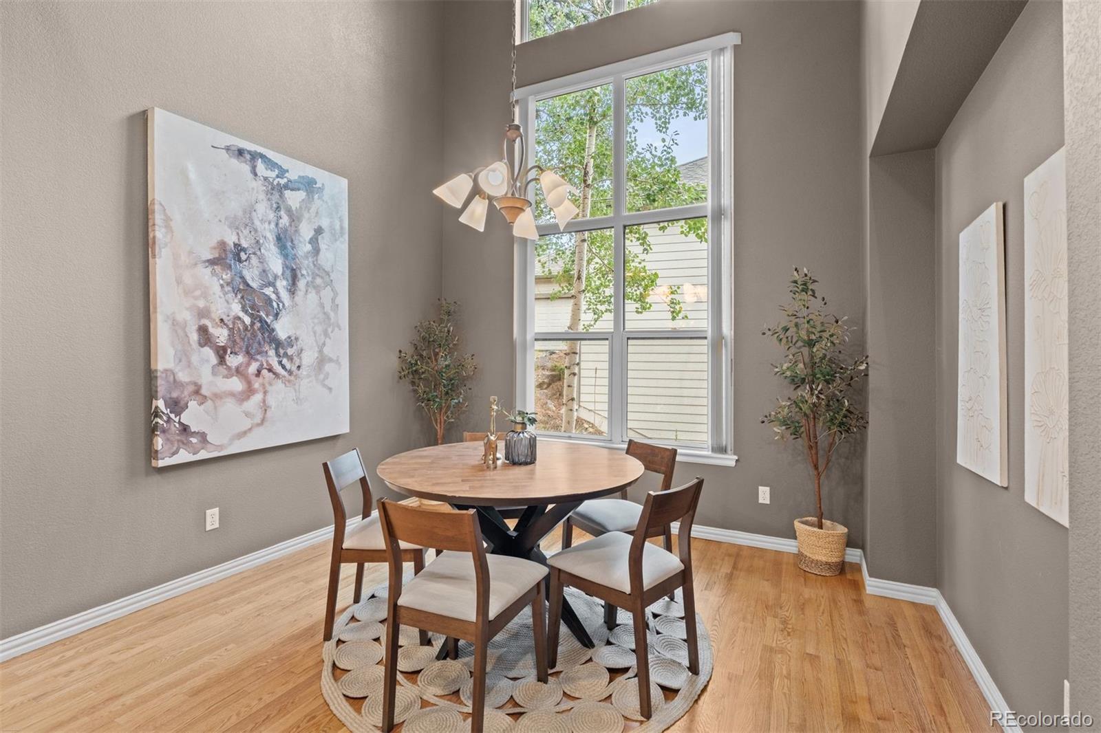 3396 White Bark Pine