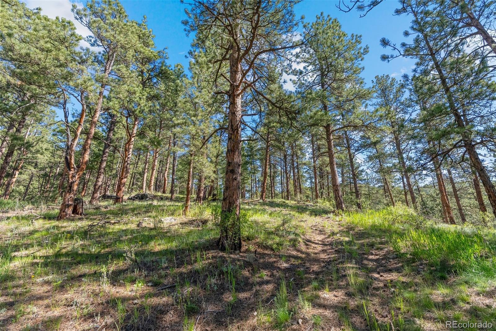 32803 Upper Bear Creek Road