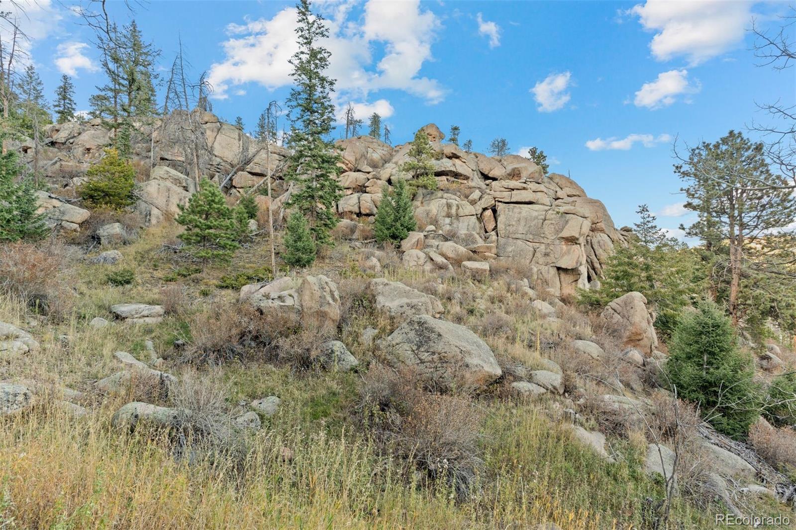 32351 Lodgepole Drive