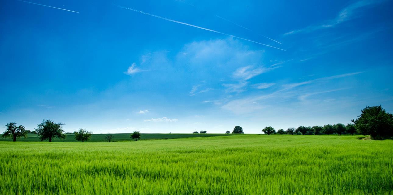 10868 Dougherty Avenue