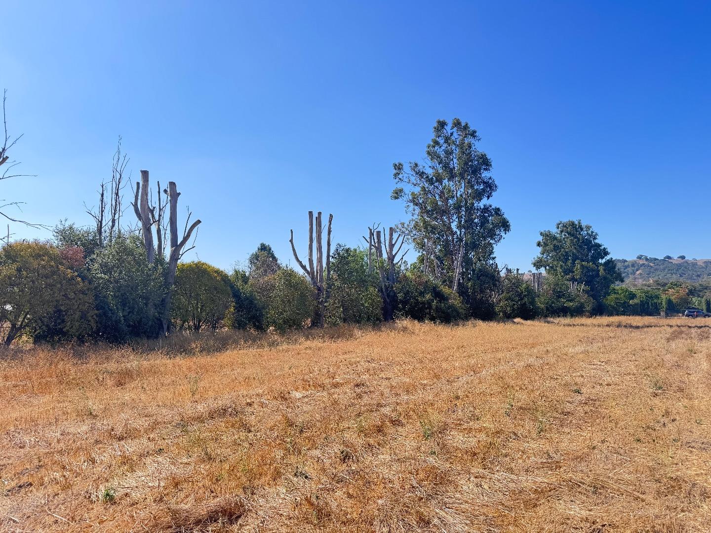 10868 Dougherty Avenue