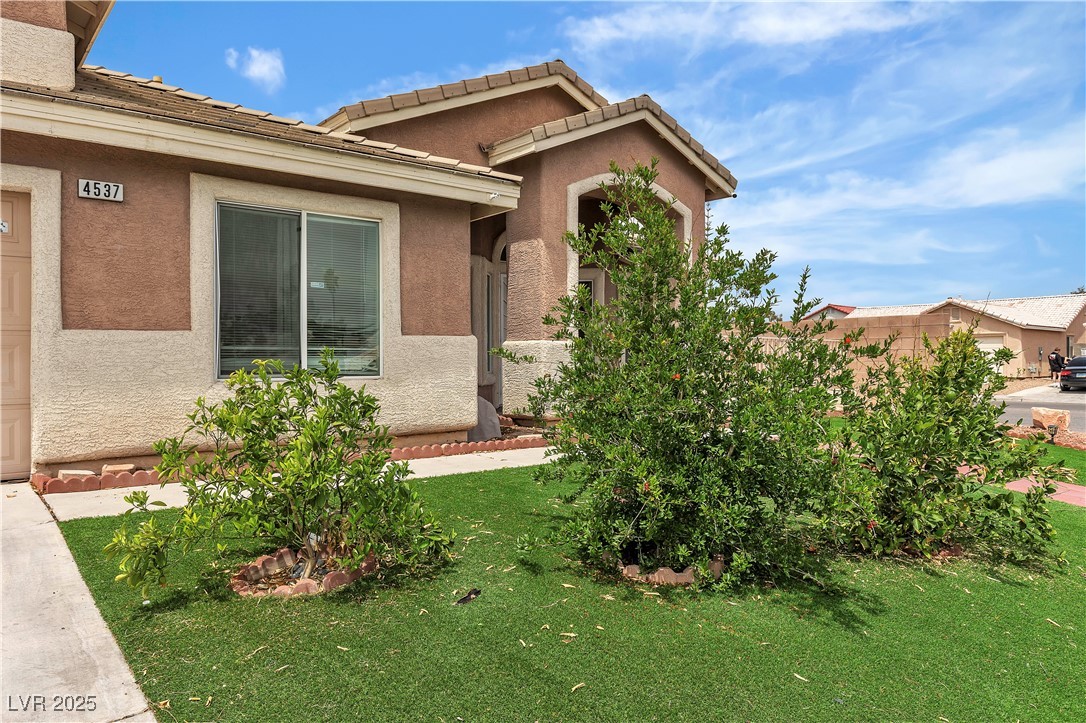 4537 Colonial Canyon Street