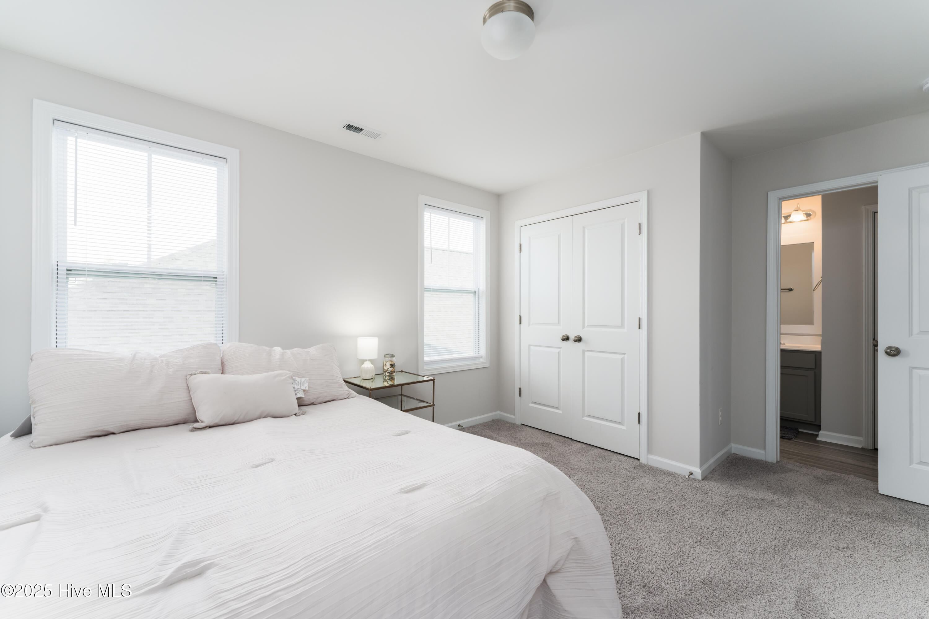 3911 Northern Lights Drive