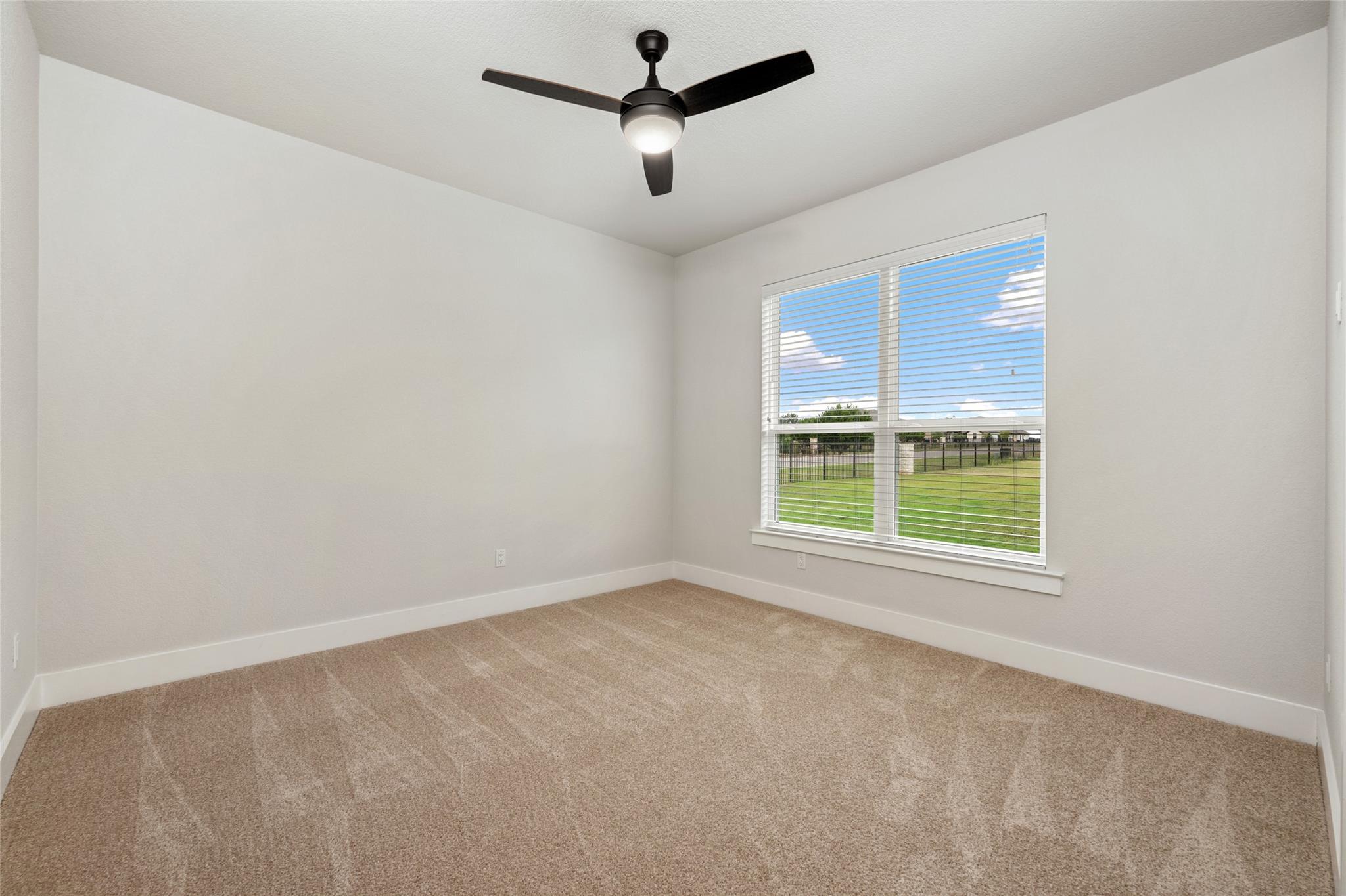 112 Honey Locust CV